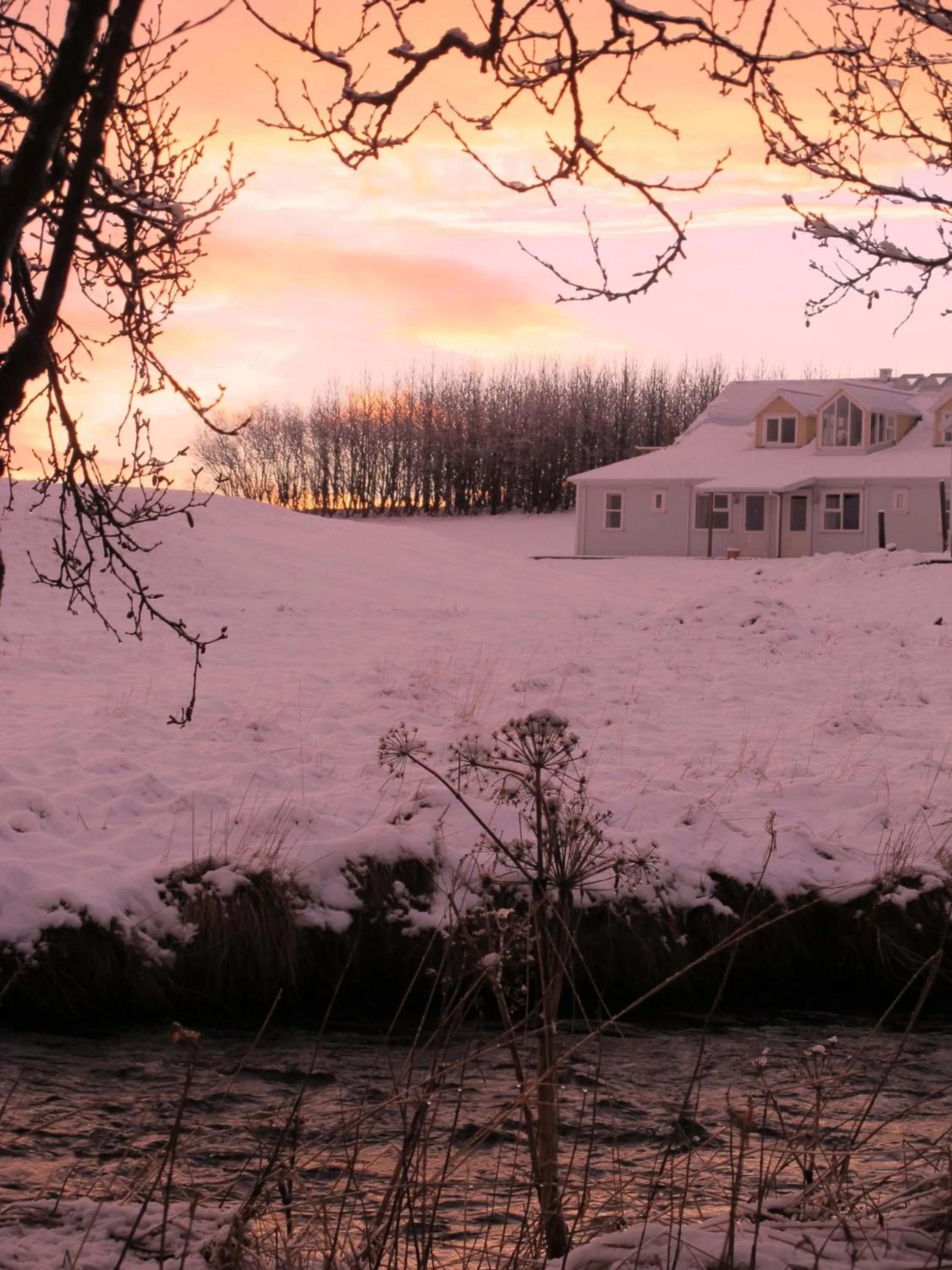 Area and facilities in Hótel Lækur