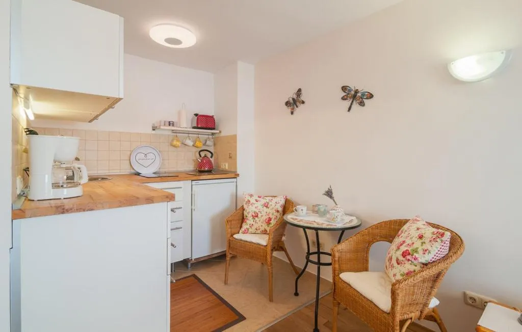 Kitchen or kitchenette in Villa Anči