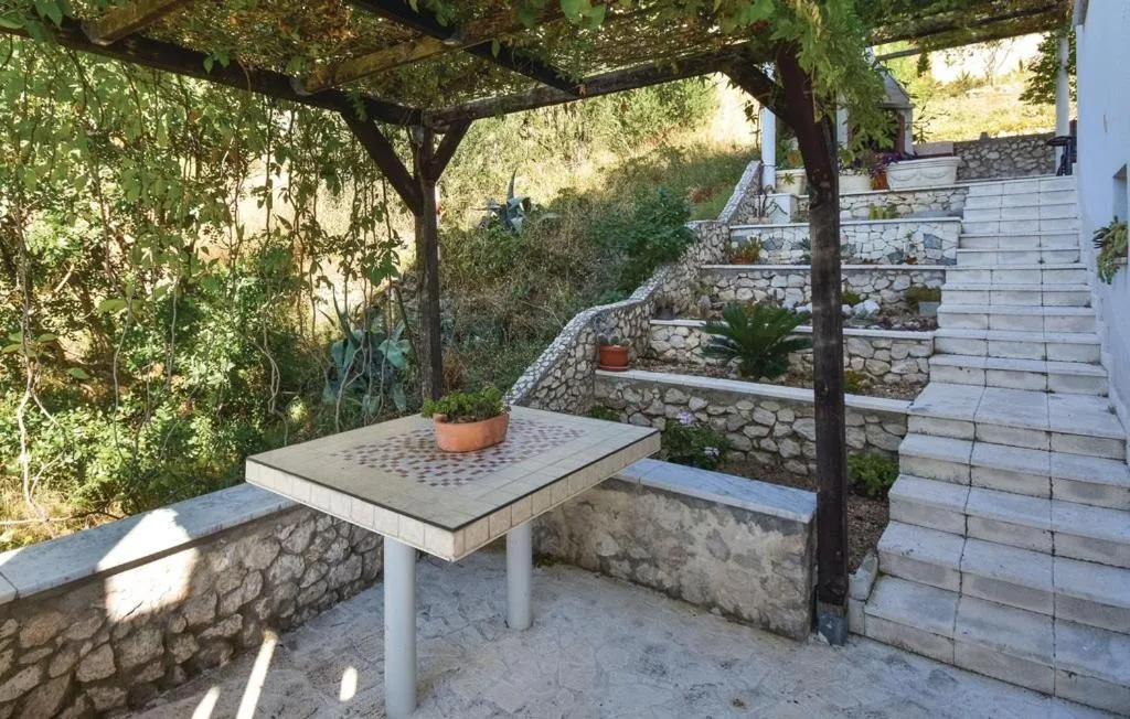 Garden in Villa Anči