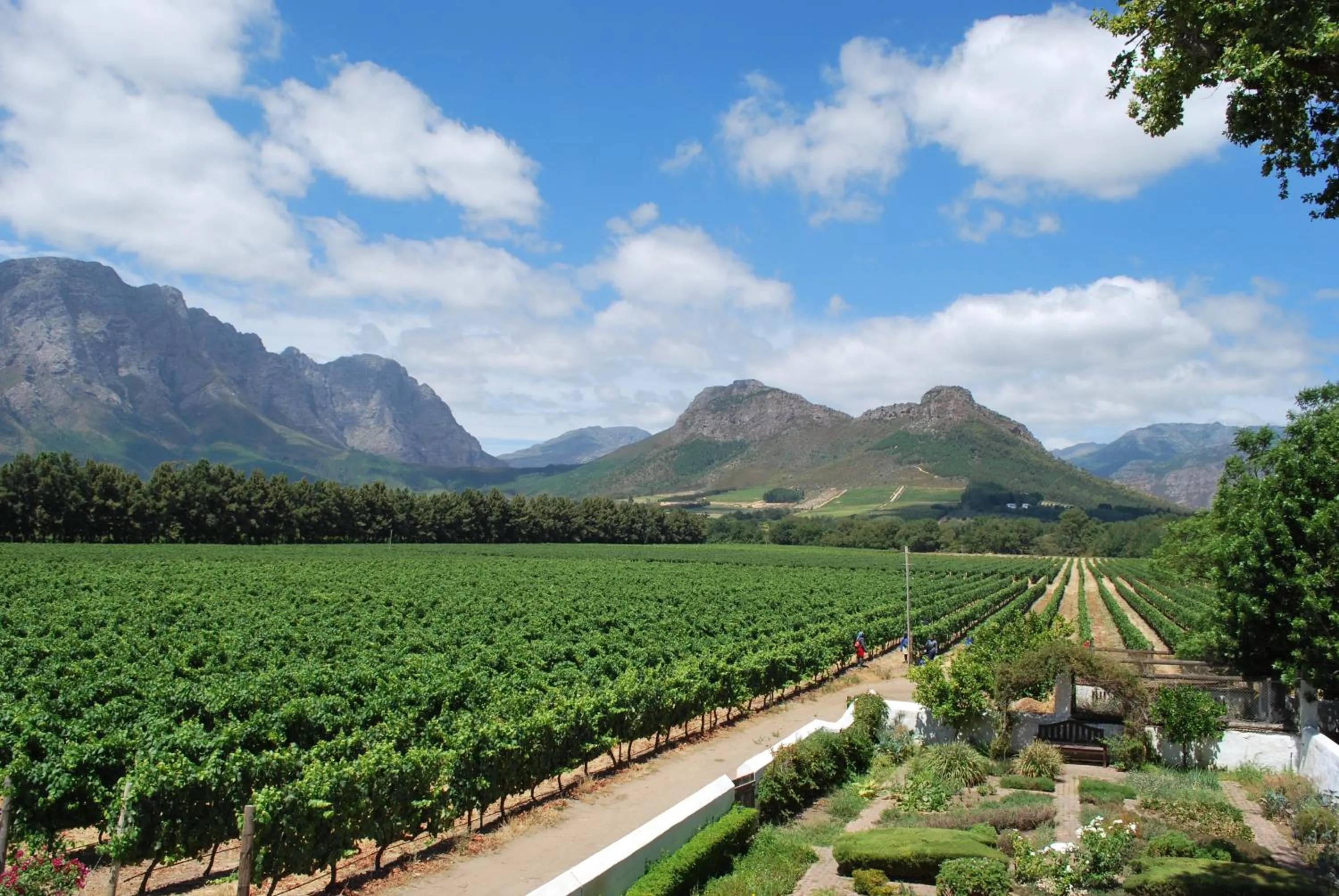 Kingna Lodge Montagu