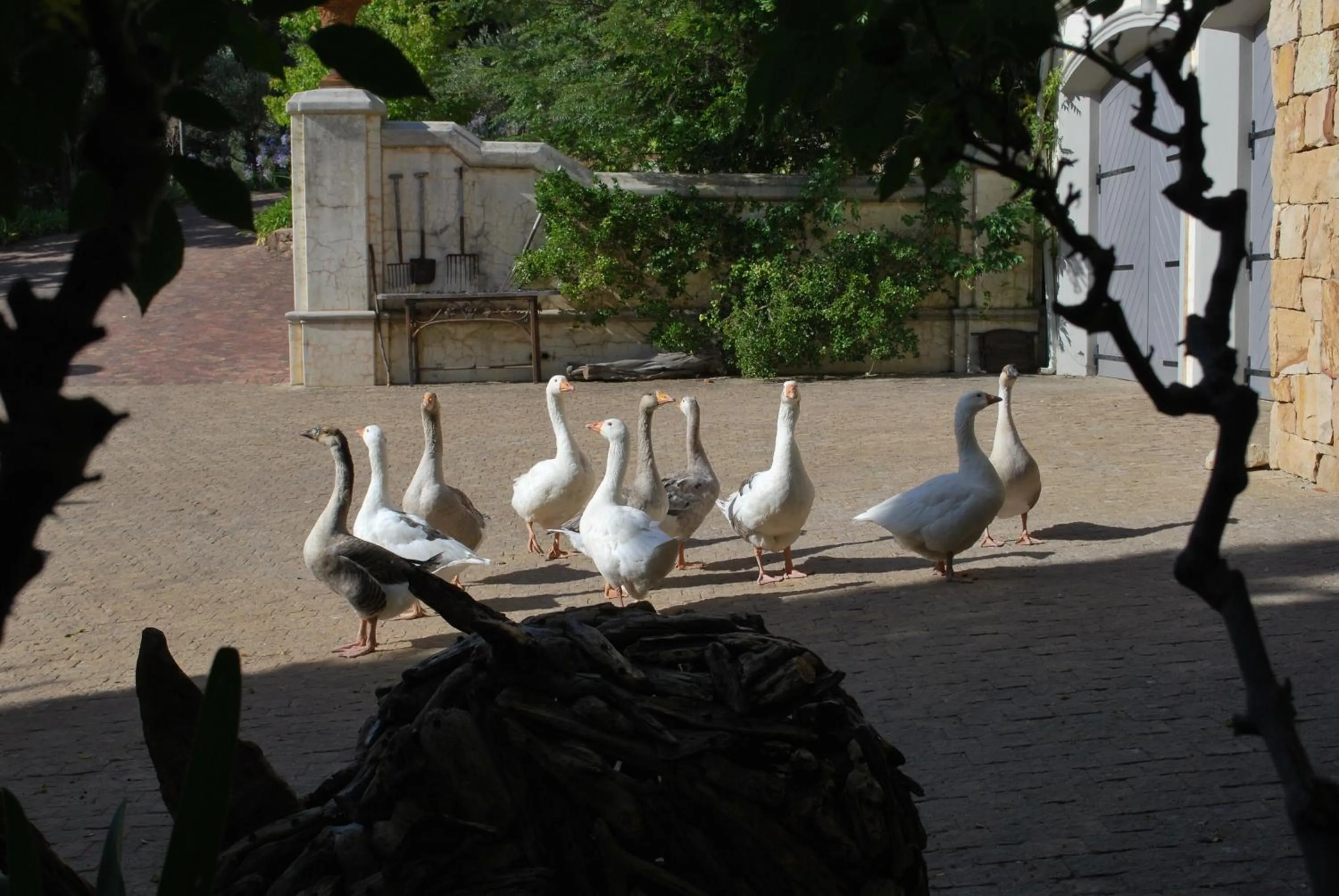 Kingna Lodge Montagu