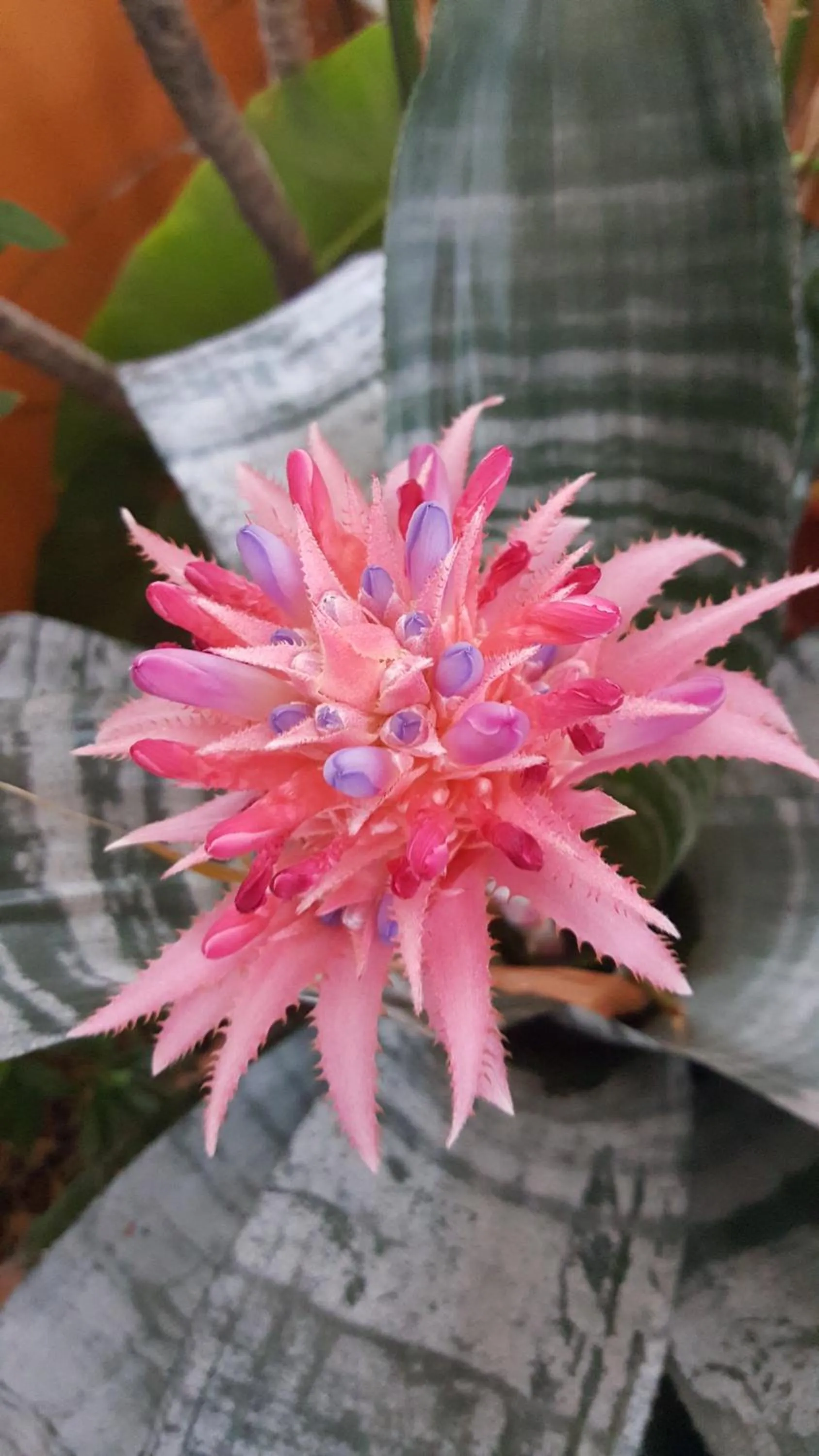 Hotel Posada San Jerónimo