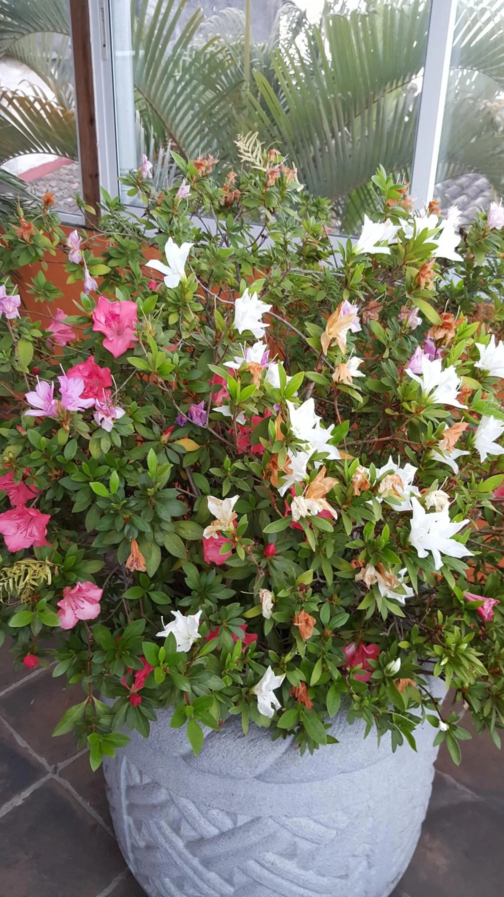 Hotel Posada San Jerónimo