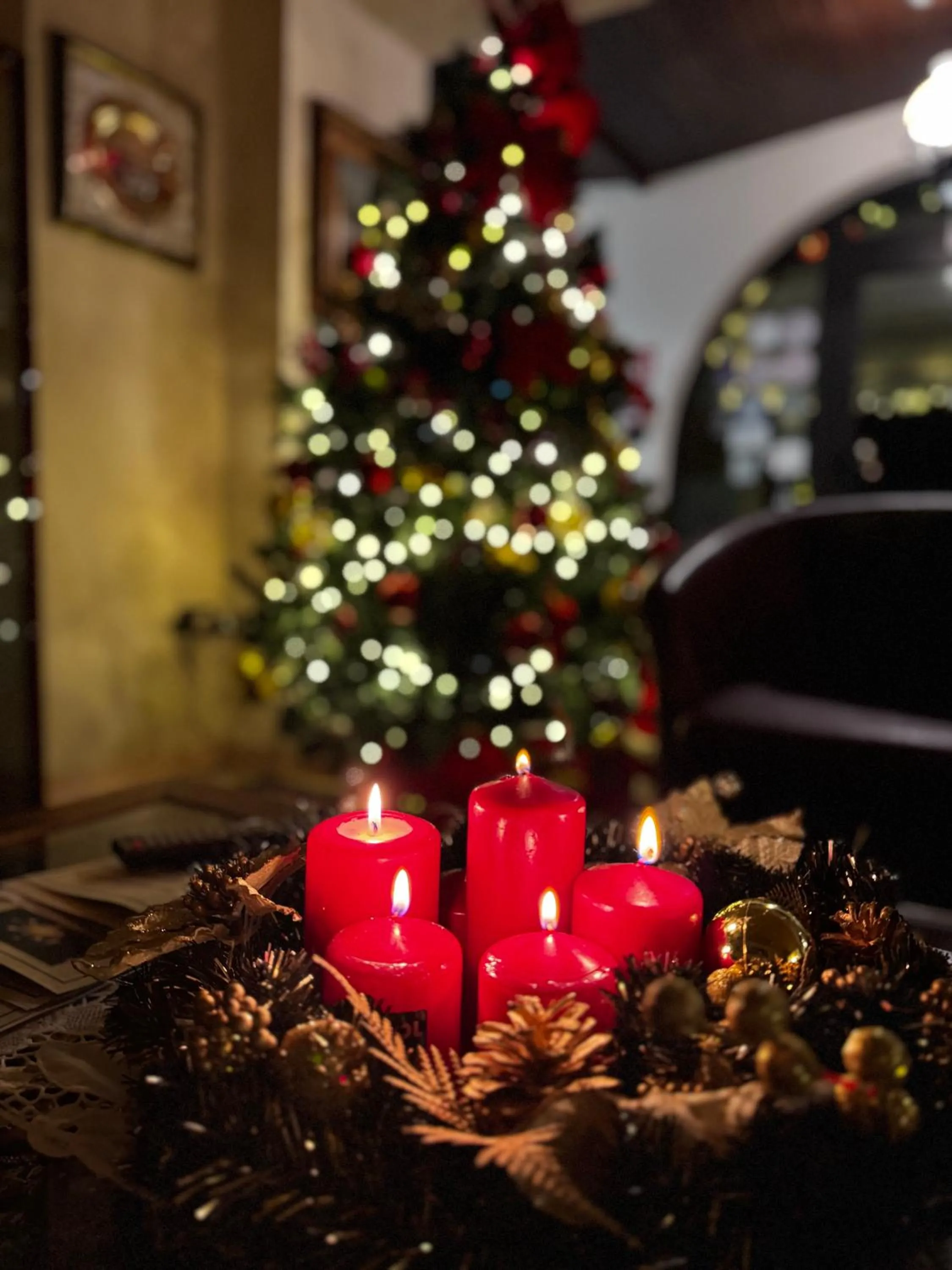 Restaurant/places to eat in Hotel Ristorante La Grotta