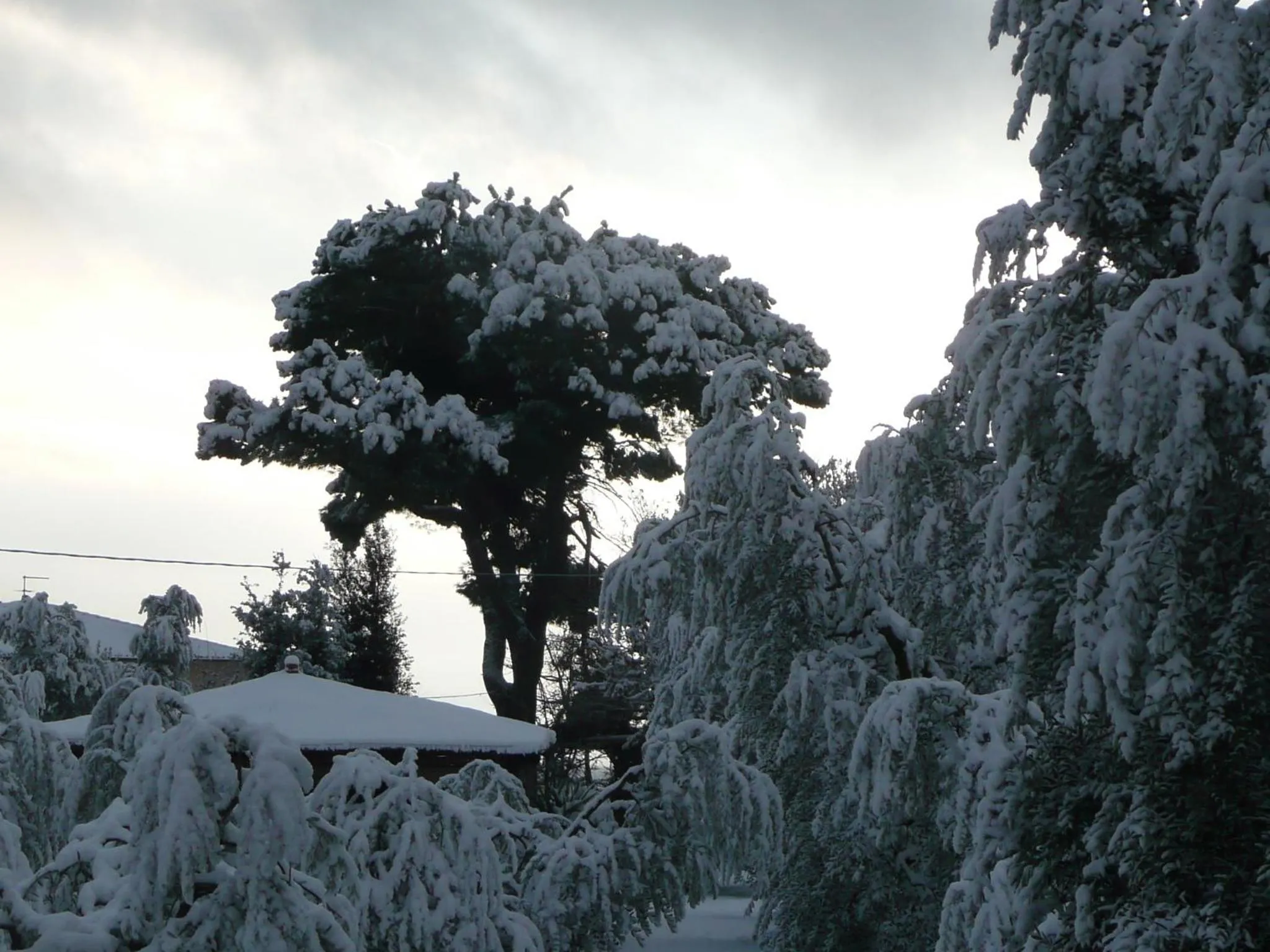 Facade/entrance in Il Baraccotto