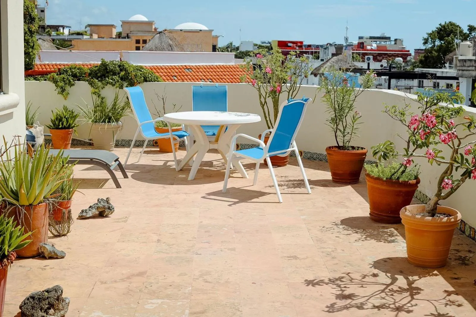 City view in Boutique Hotel Delfin 5th Avenue