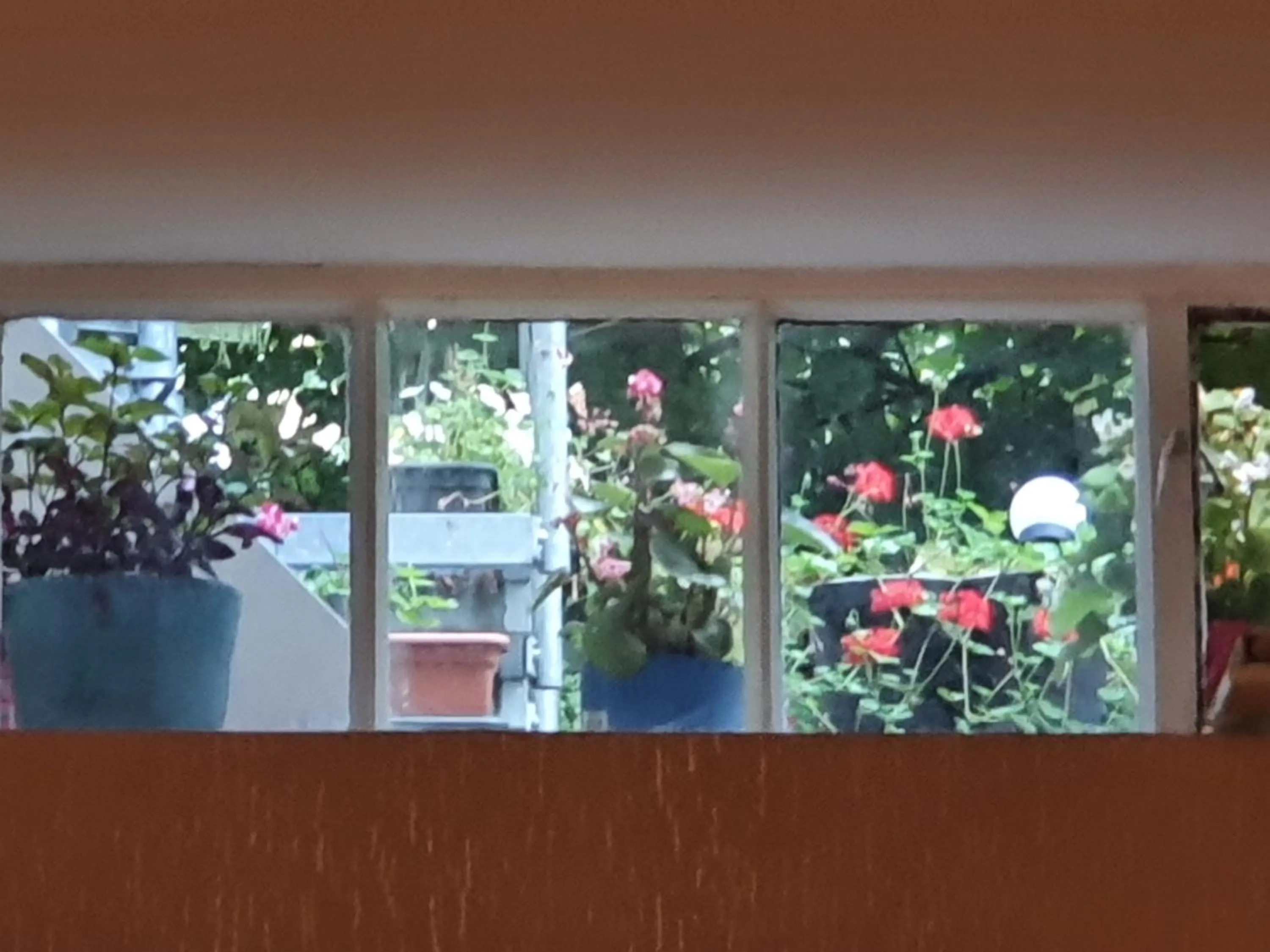 Inner courtyard view in Hotel Cara Vita Cologne