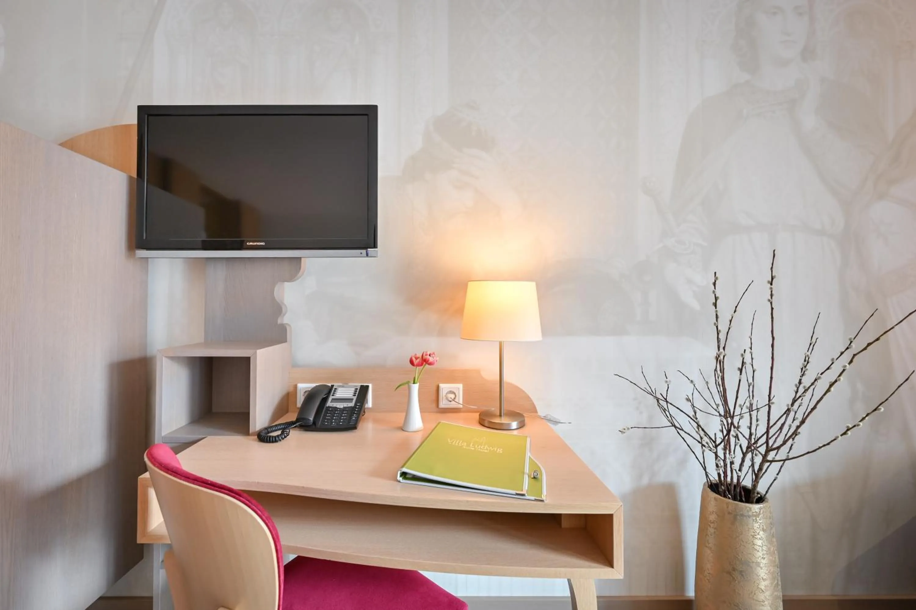 TV and multimedia in Villa Ludwig Suite Hotel