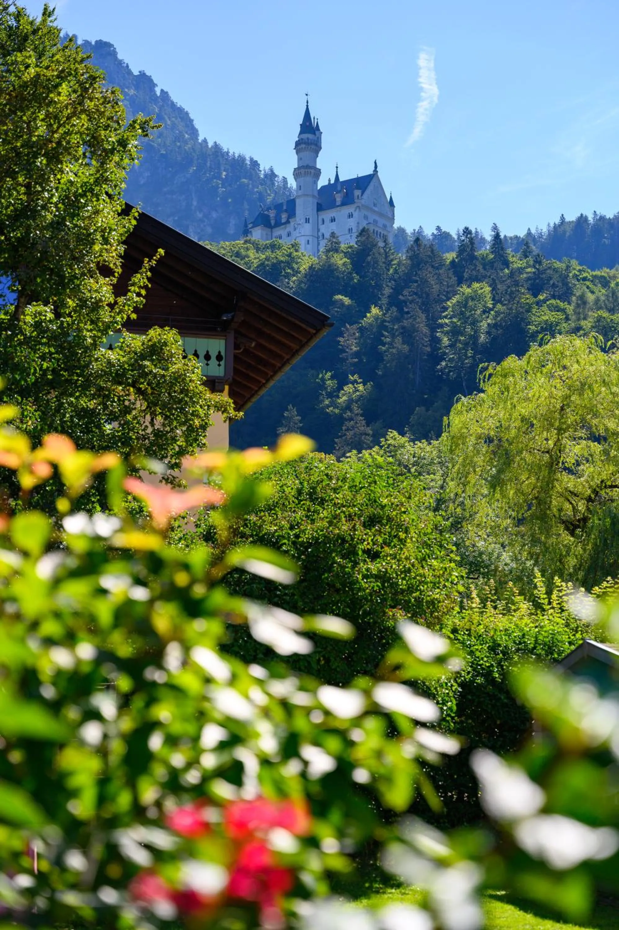 View (from property/room) in Villa Ludwig Suite Hotel