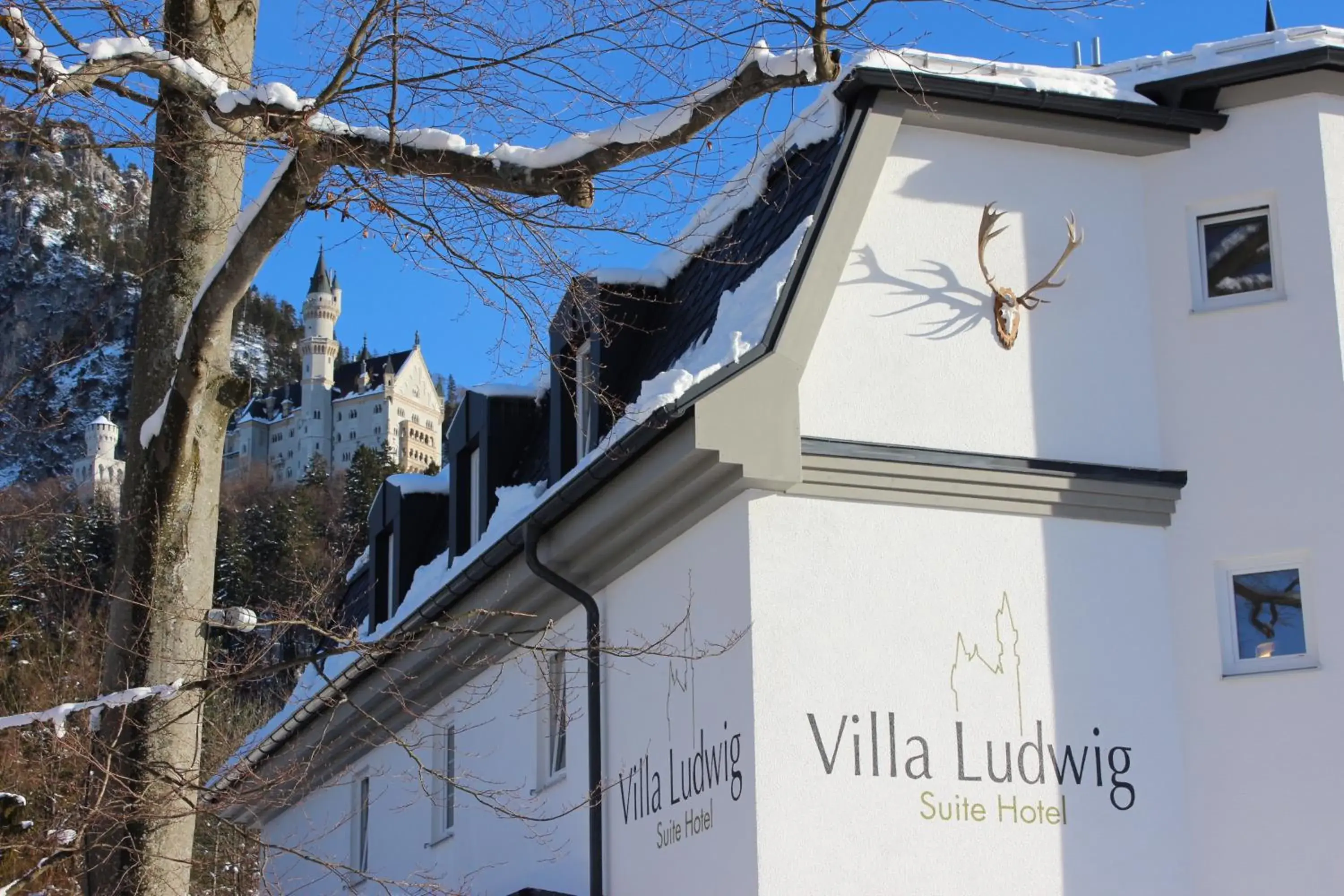 Facade/entrance, Property Building in Hotel Villa Ludwig