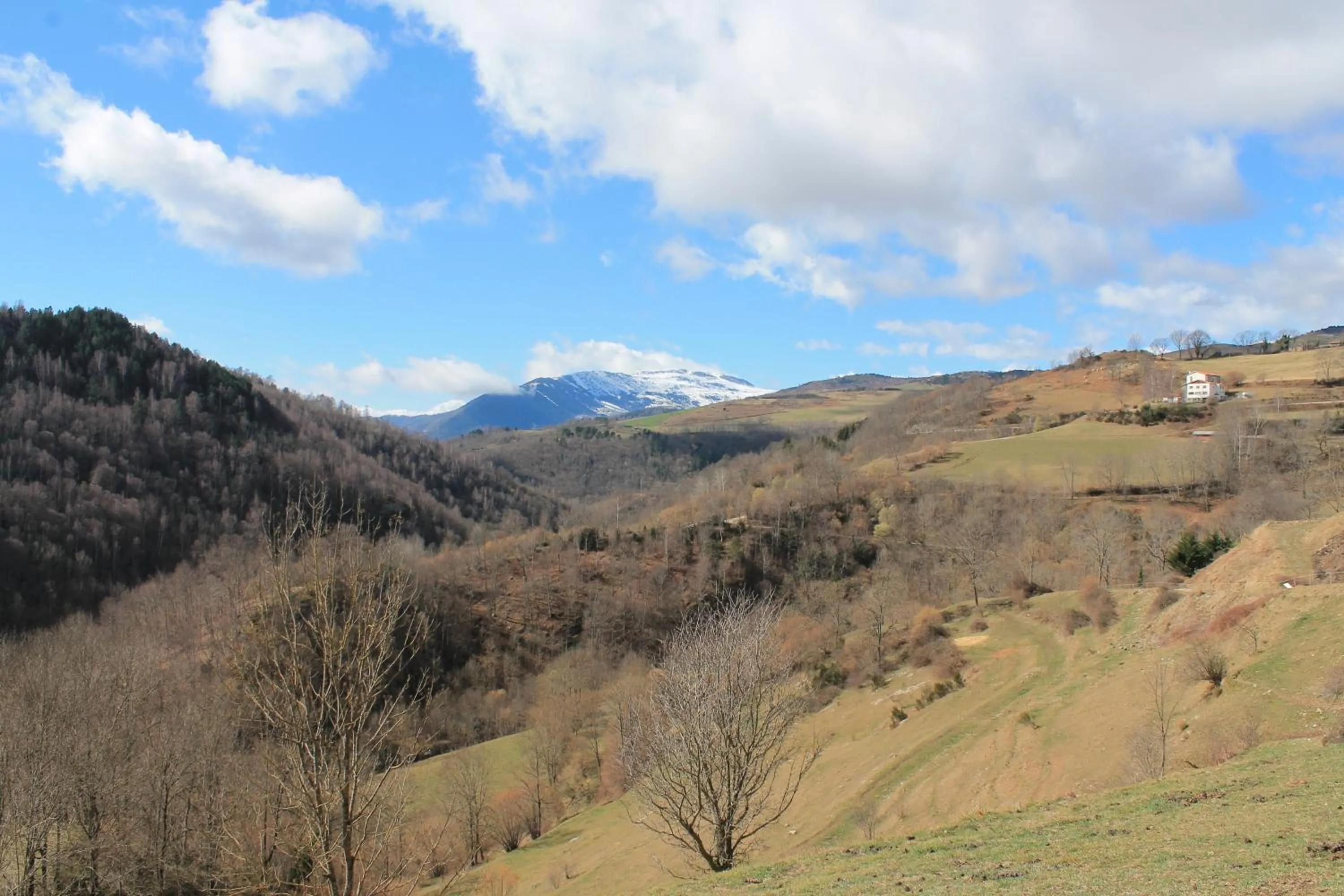 Natural landscape in La Costa de Molló