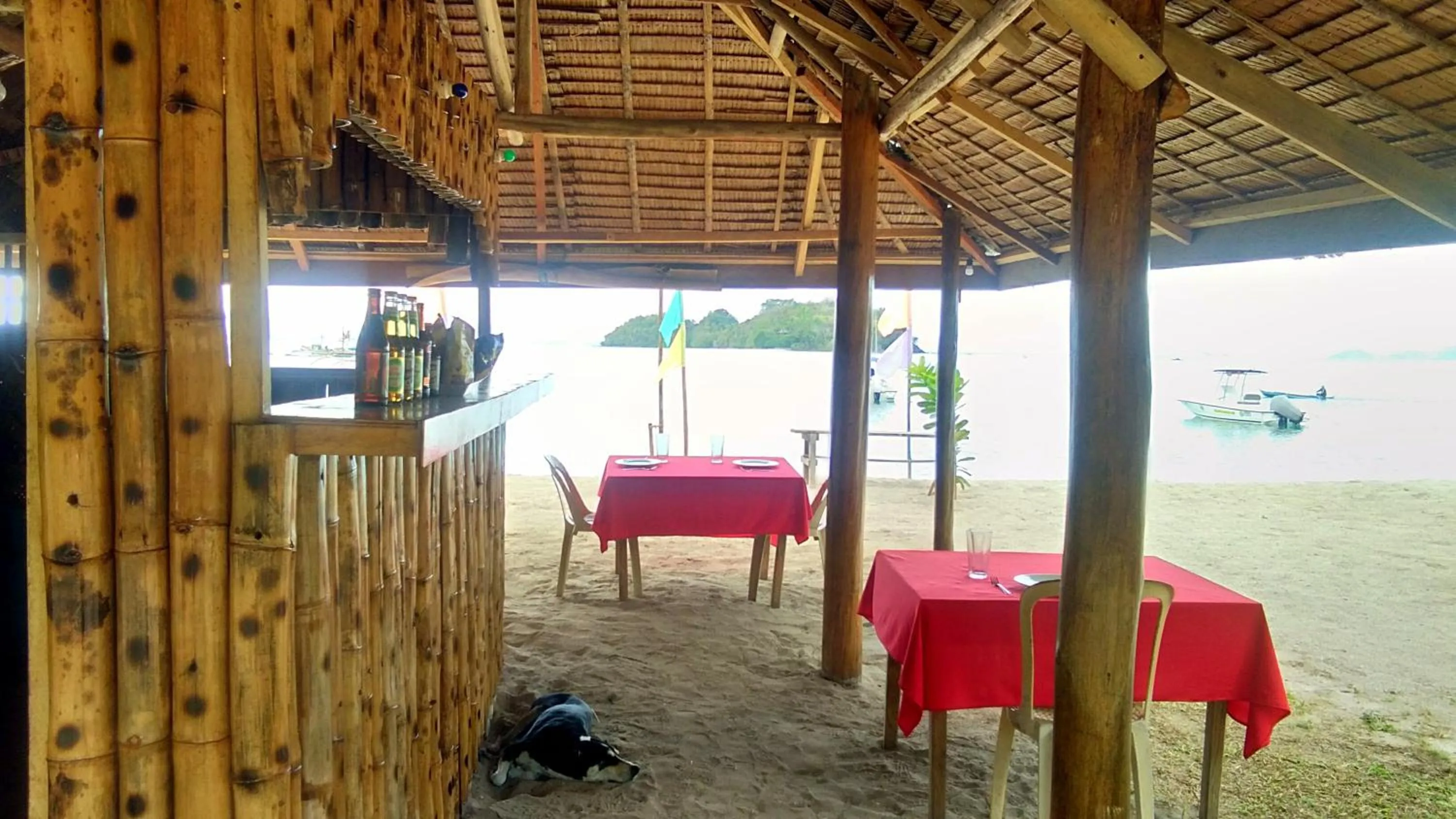 Lounge or bar in Acuario Beach Inn