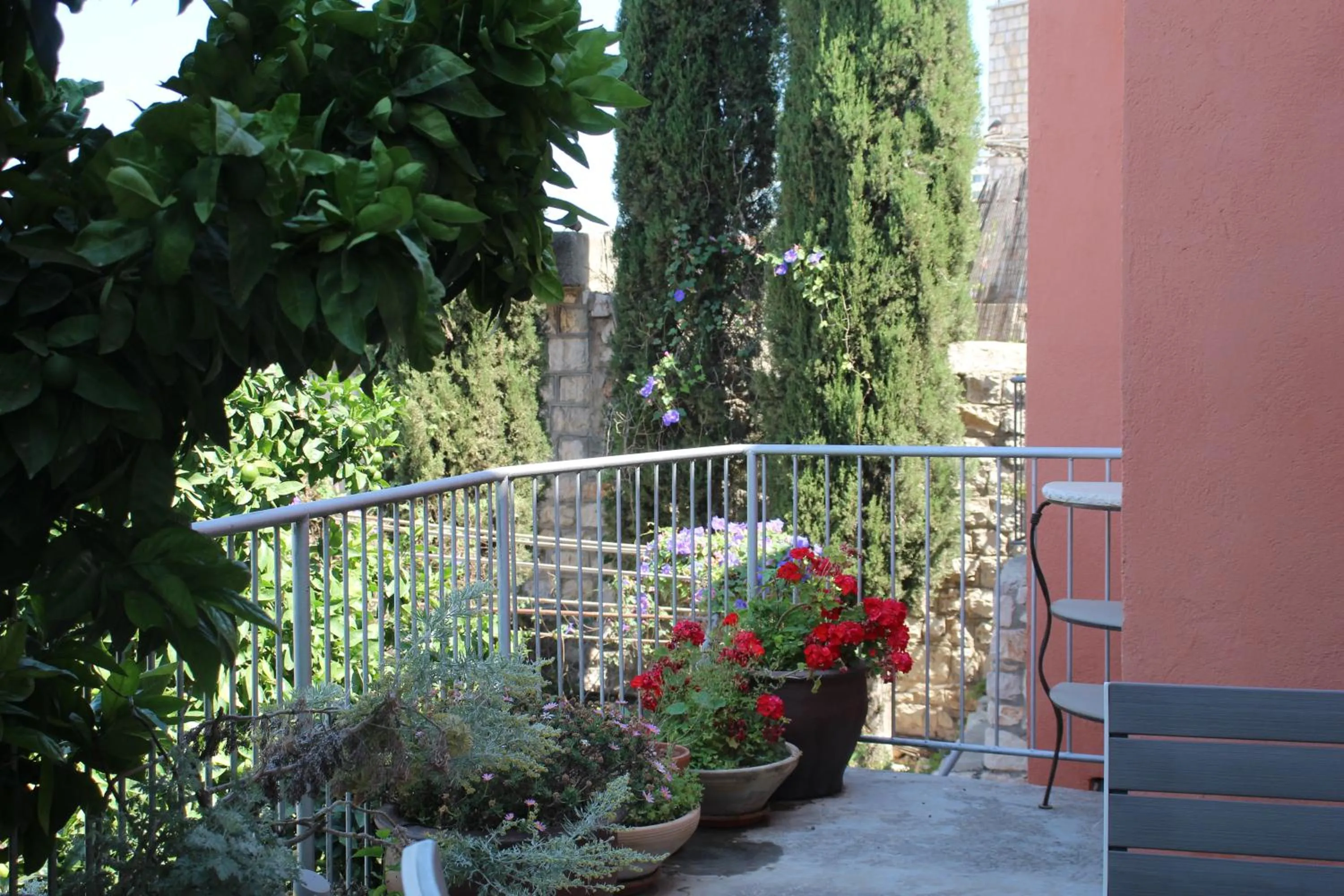 Garden in Artists' Colony Inn Zefat