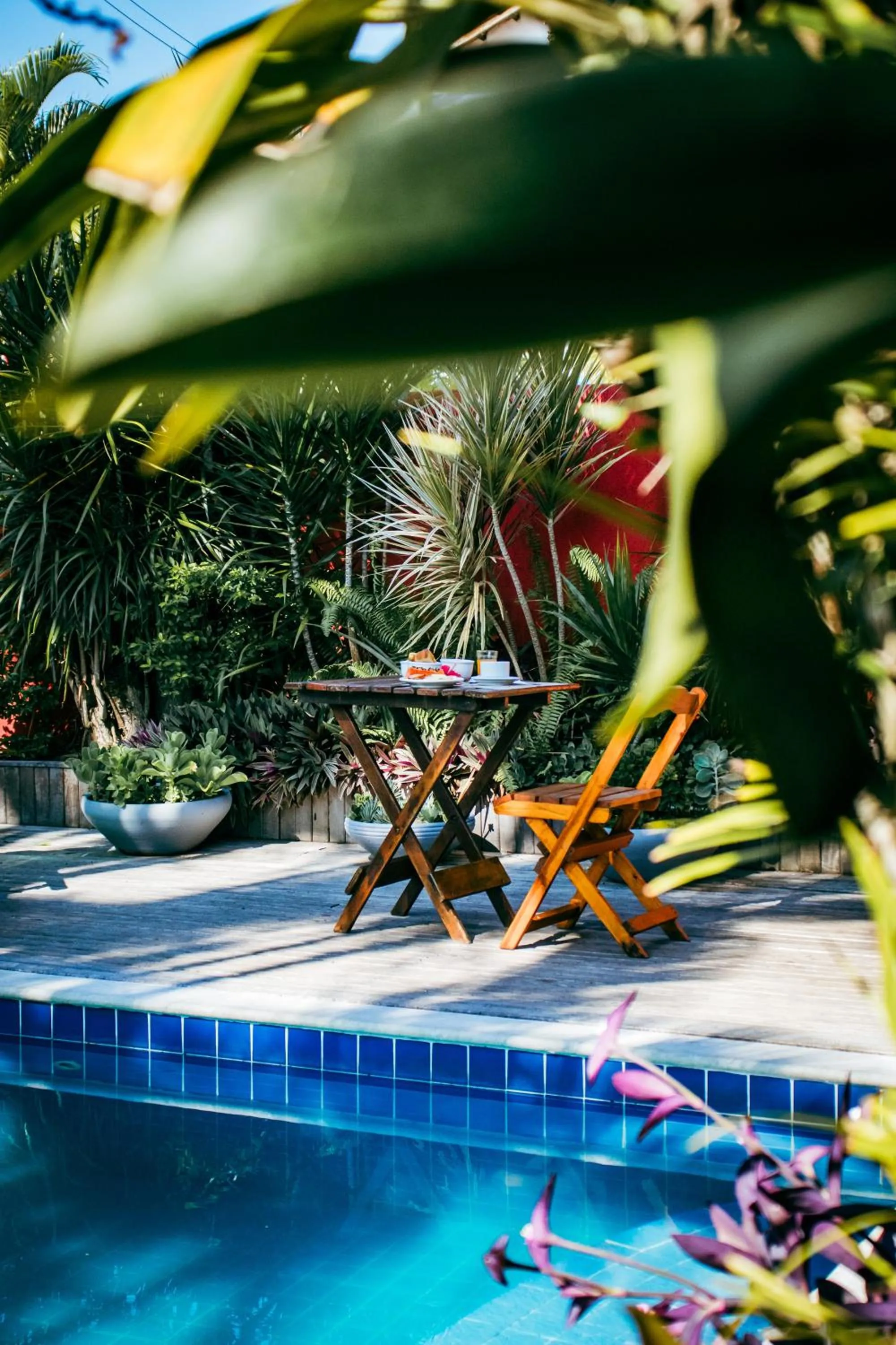 Garden in Pousada Villegaignon