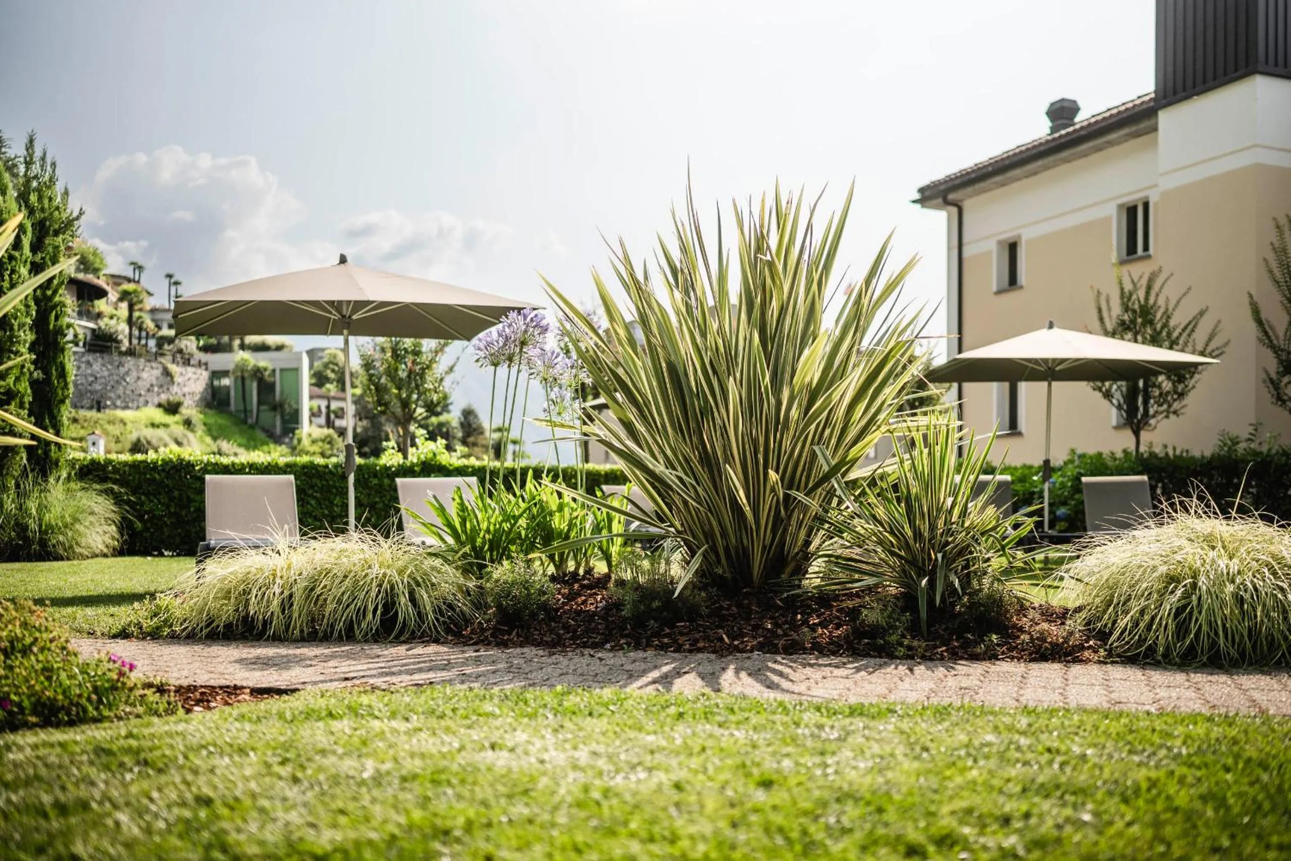 Garden in EasyRooms ai Monti