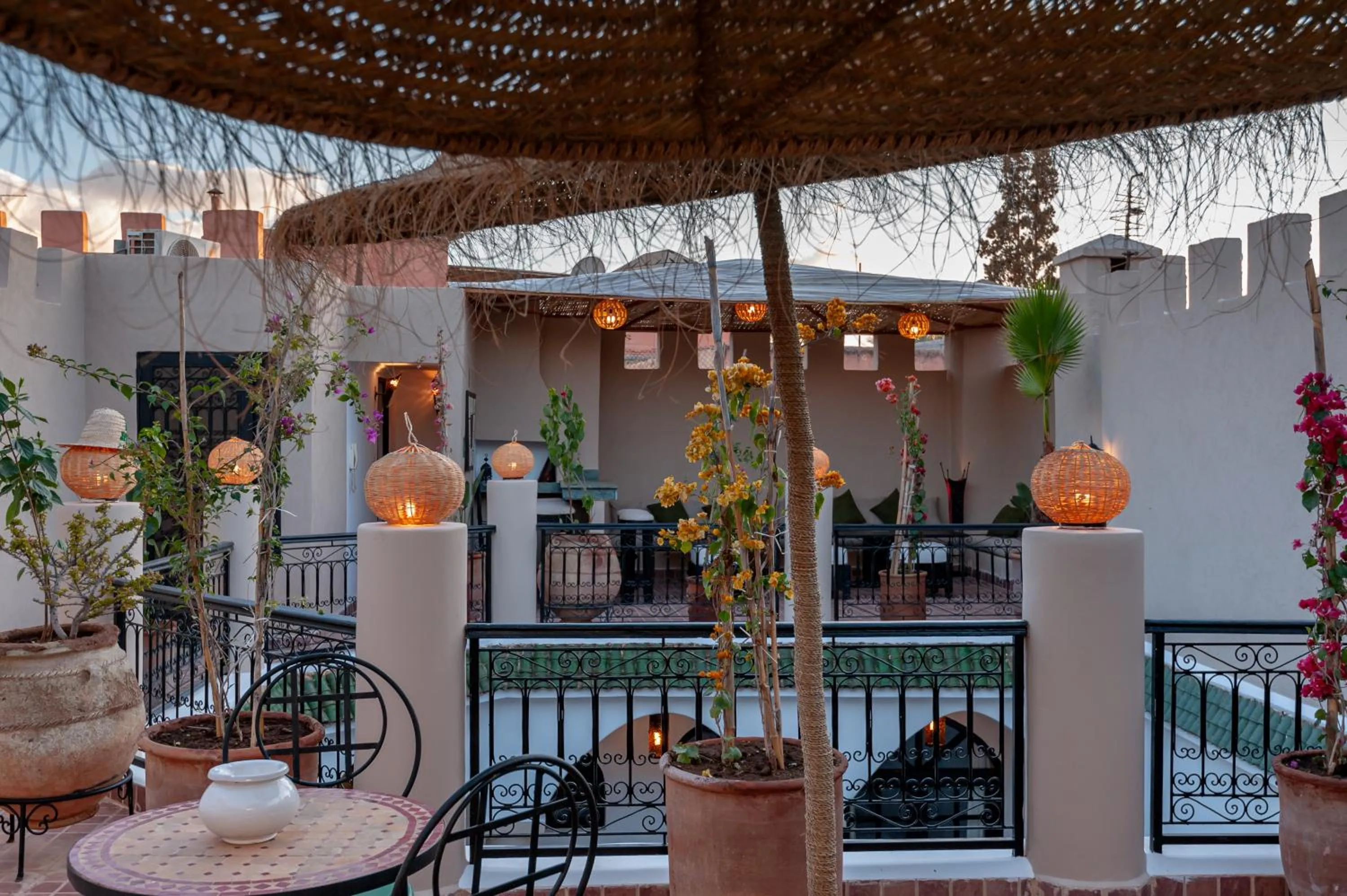 Garden in Riad Eldar