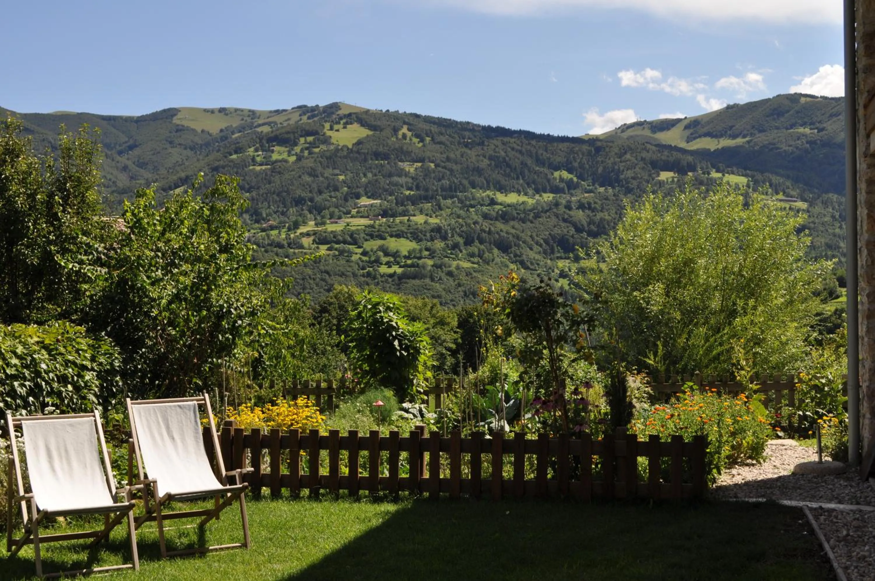 Garden in Villa Monica