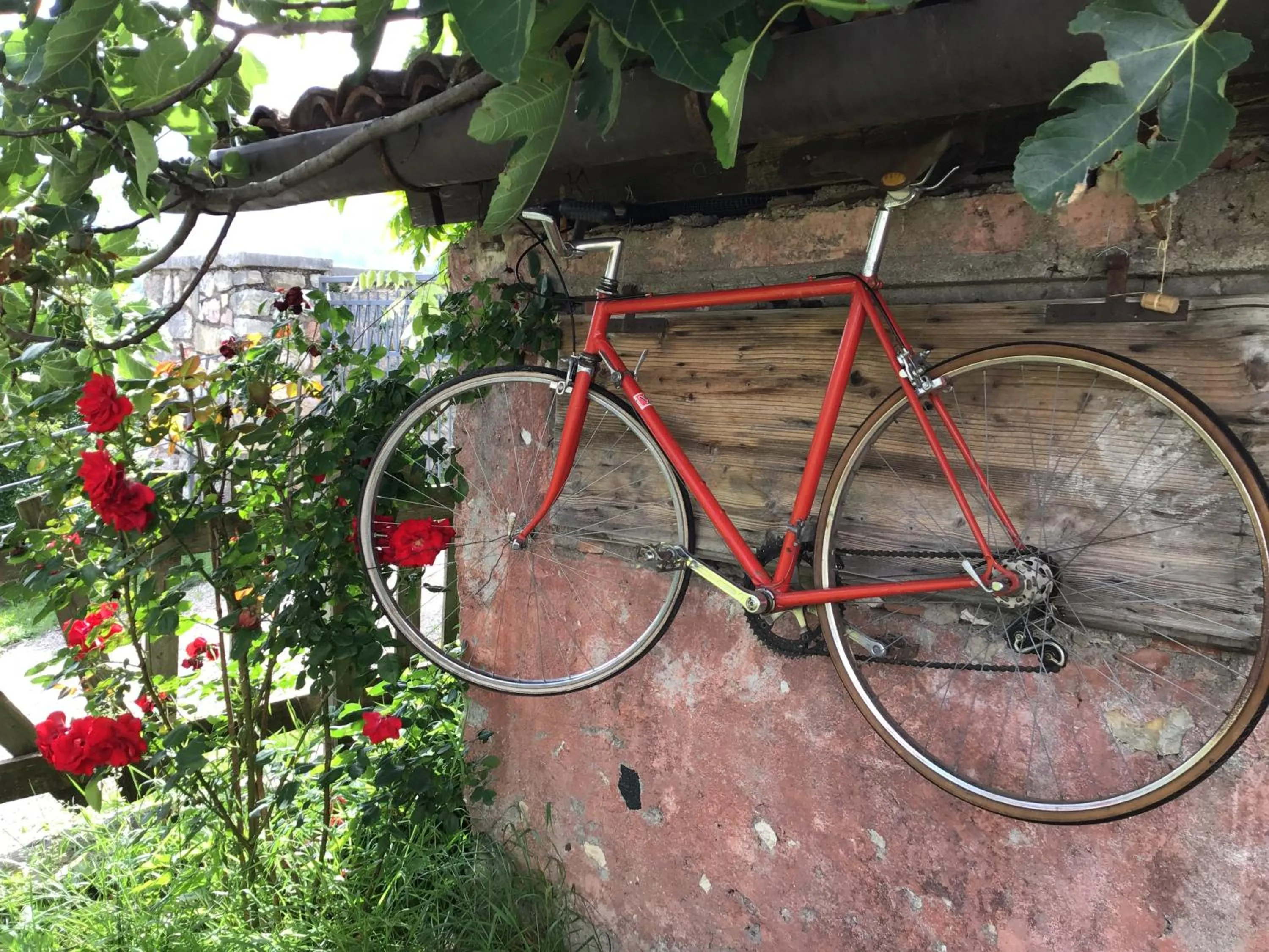 Cycling in Villa Monica