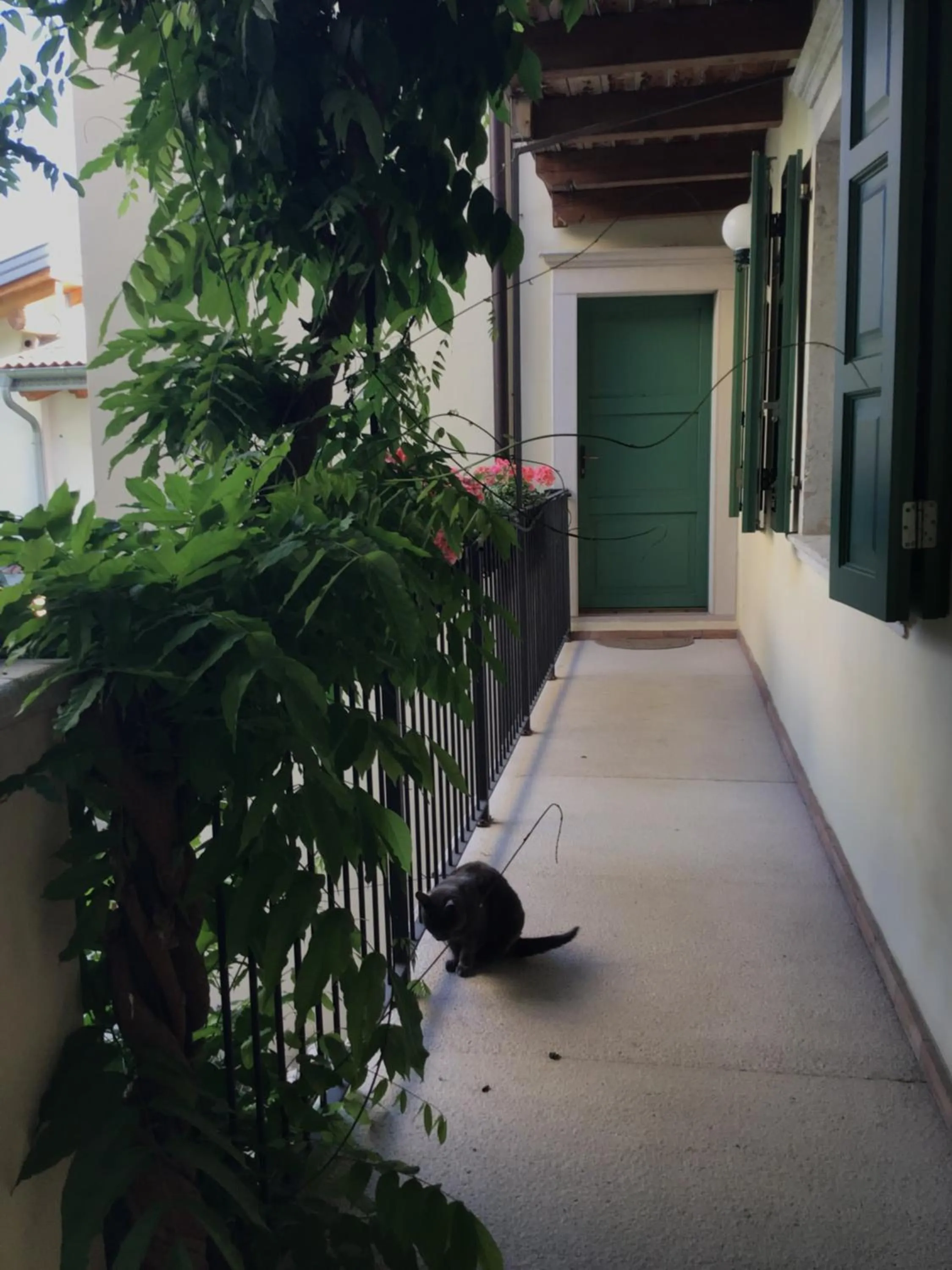 Property building in Villa Monica