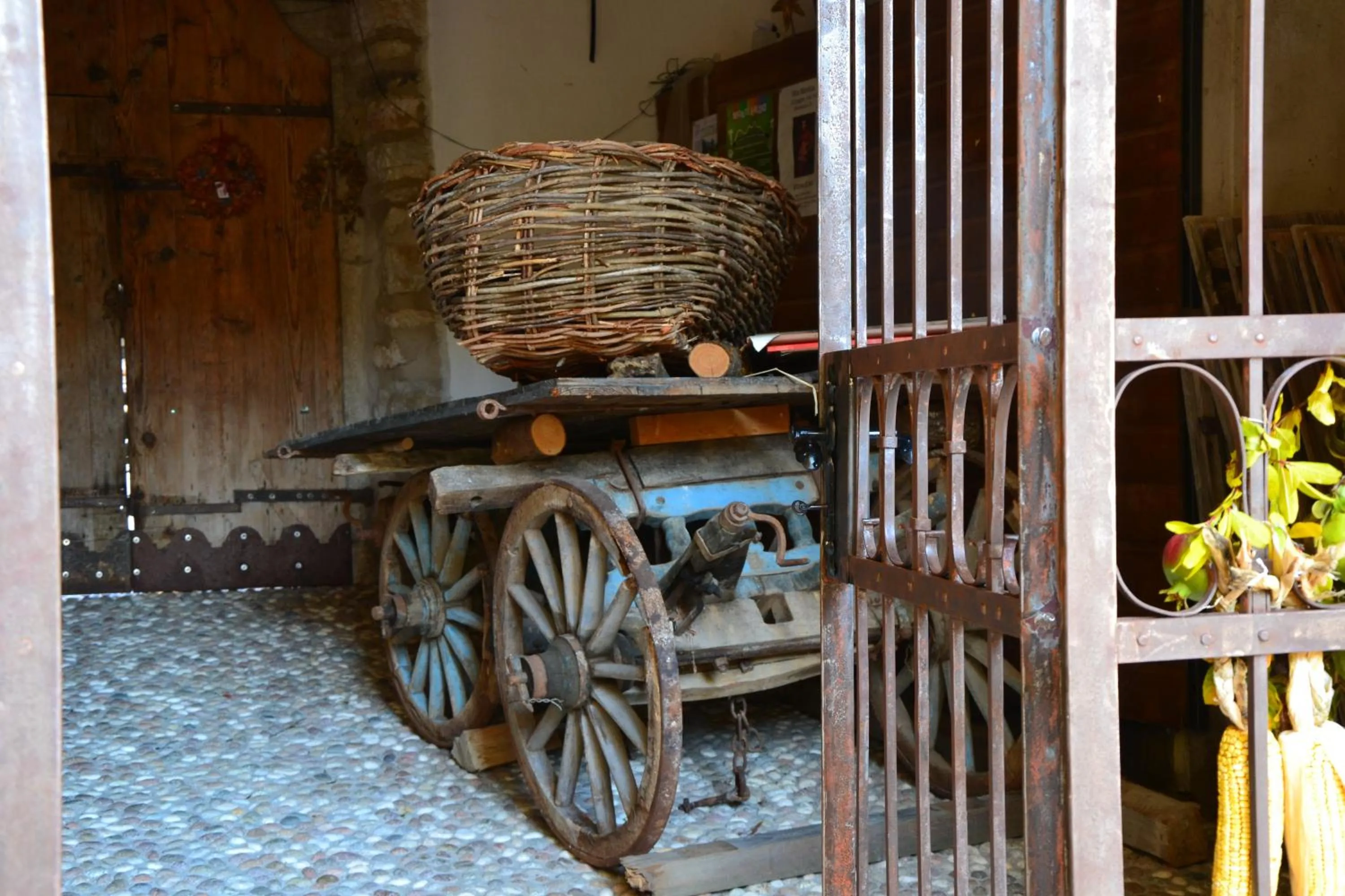 Autumn in Villa Monica