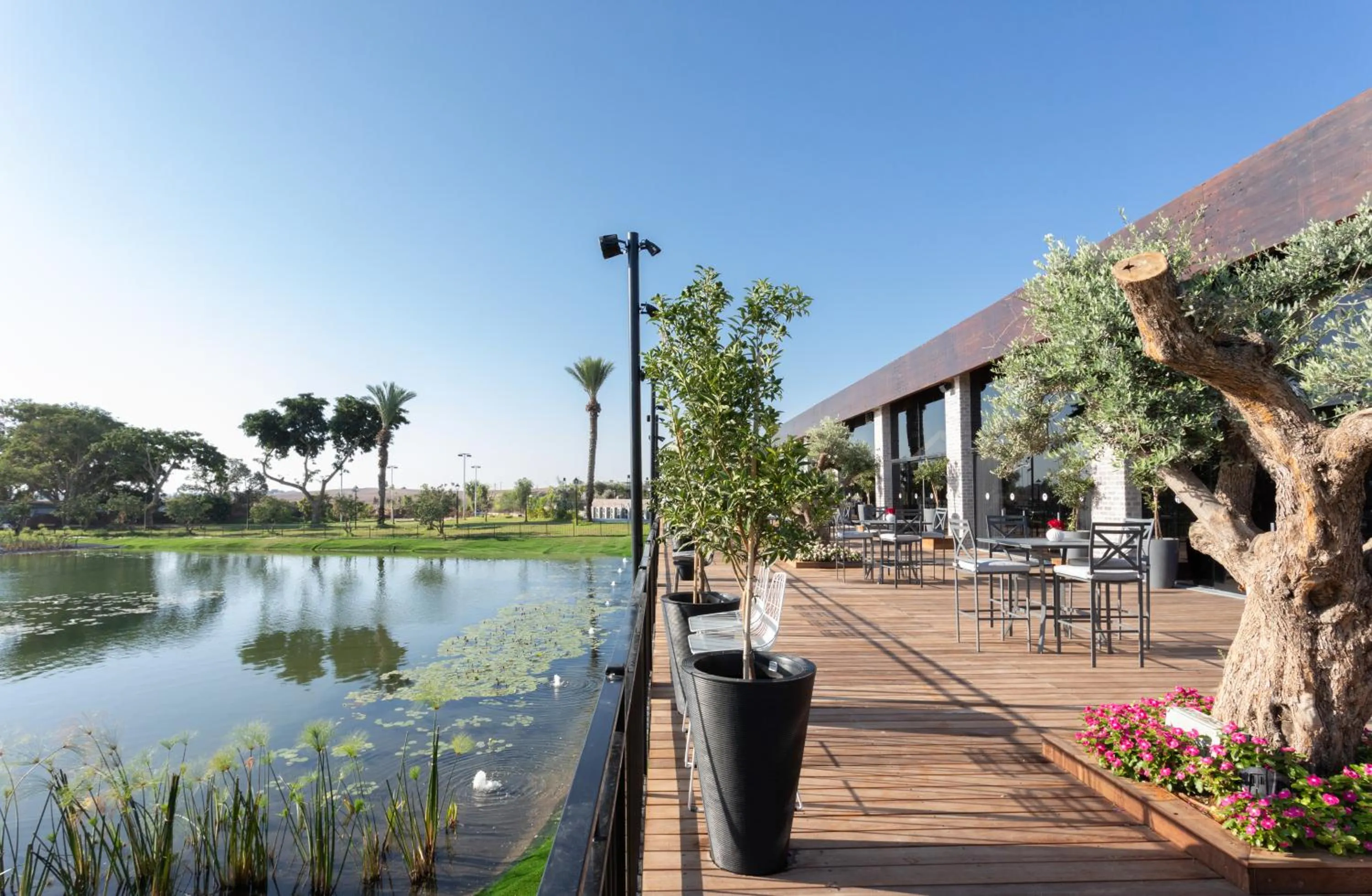 Garden in Dream Island Spa & Health Resort