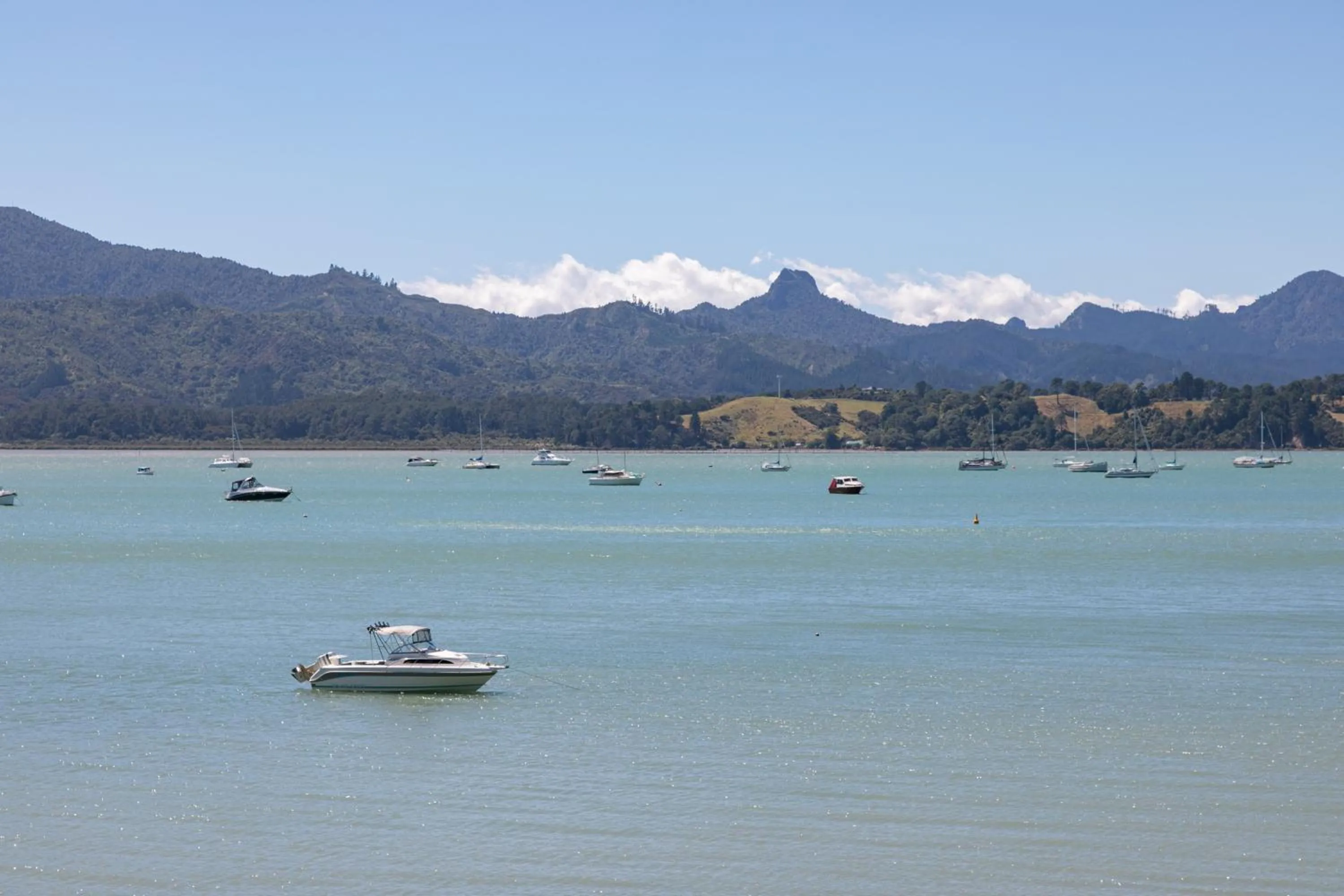 Sea view in Coromandel Apartments