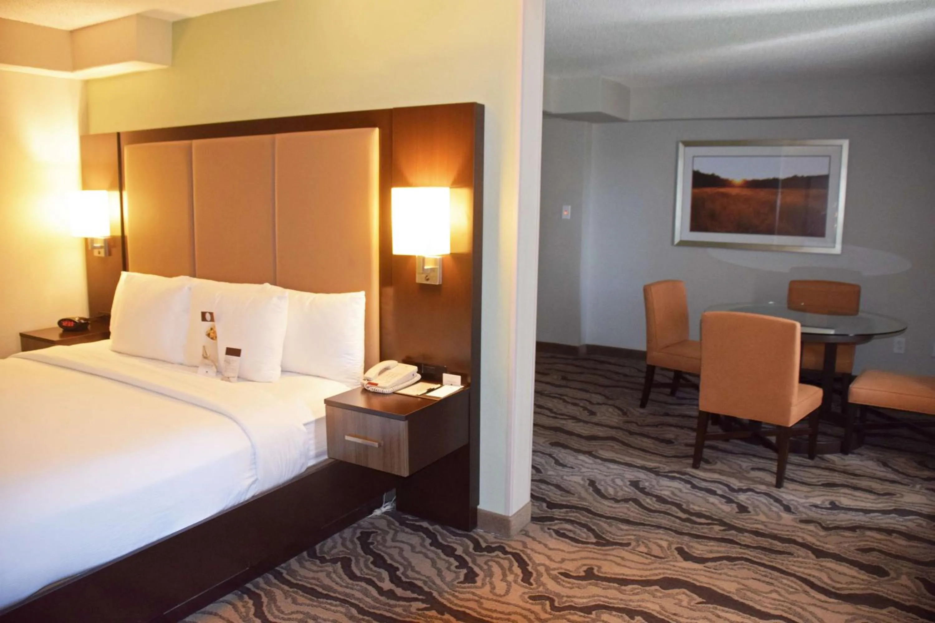 Living room, Bed in DoubleTree by Hilton Montgomery Downtown