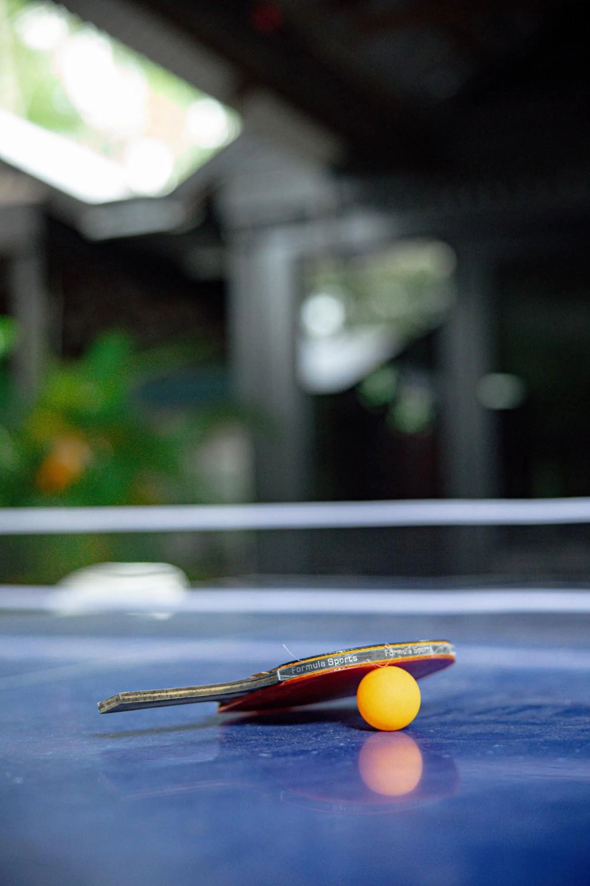Game Room in Coral Beach Lodge