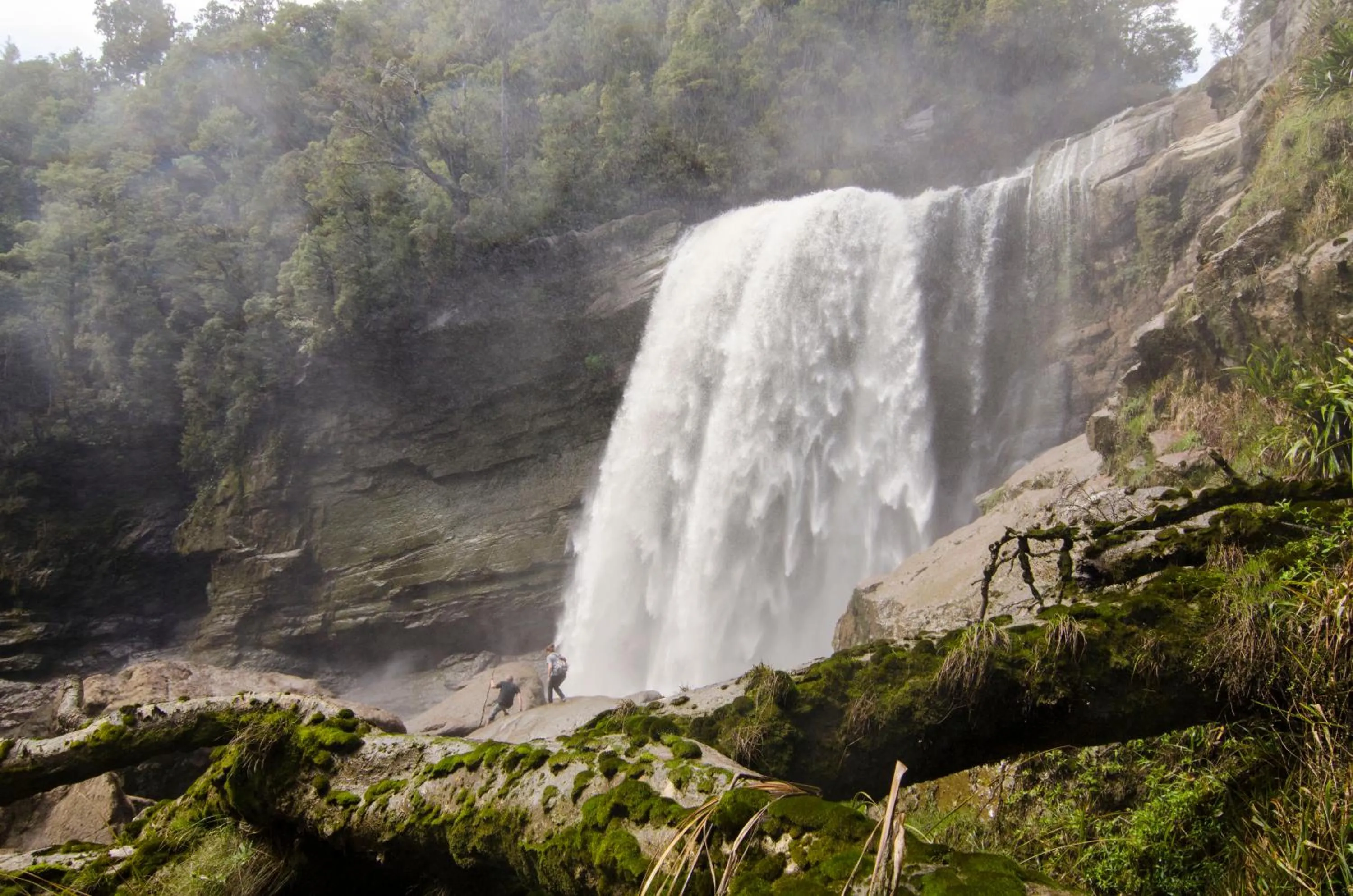 Activities in Bazil's Backpackers BBH Hostel & Surf School