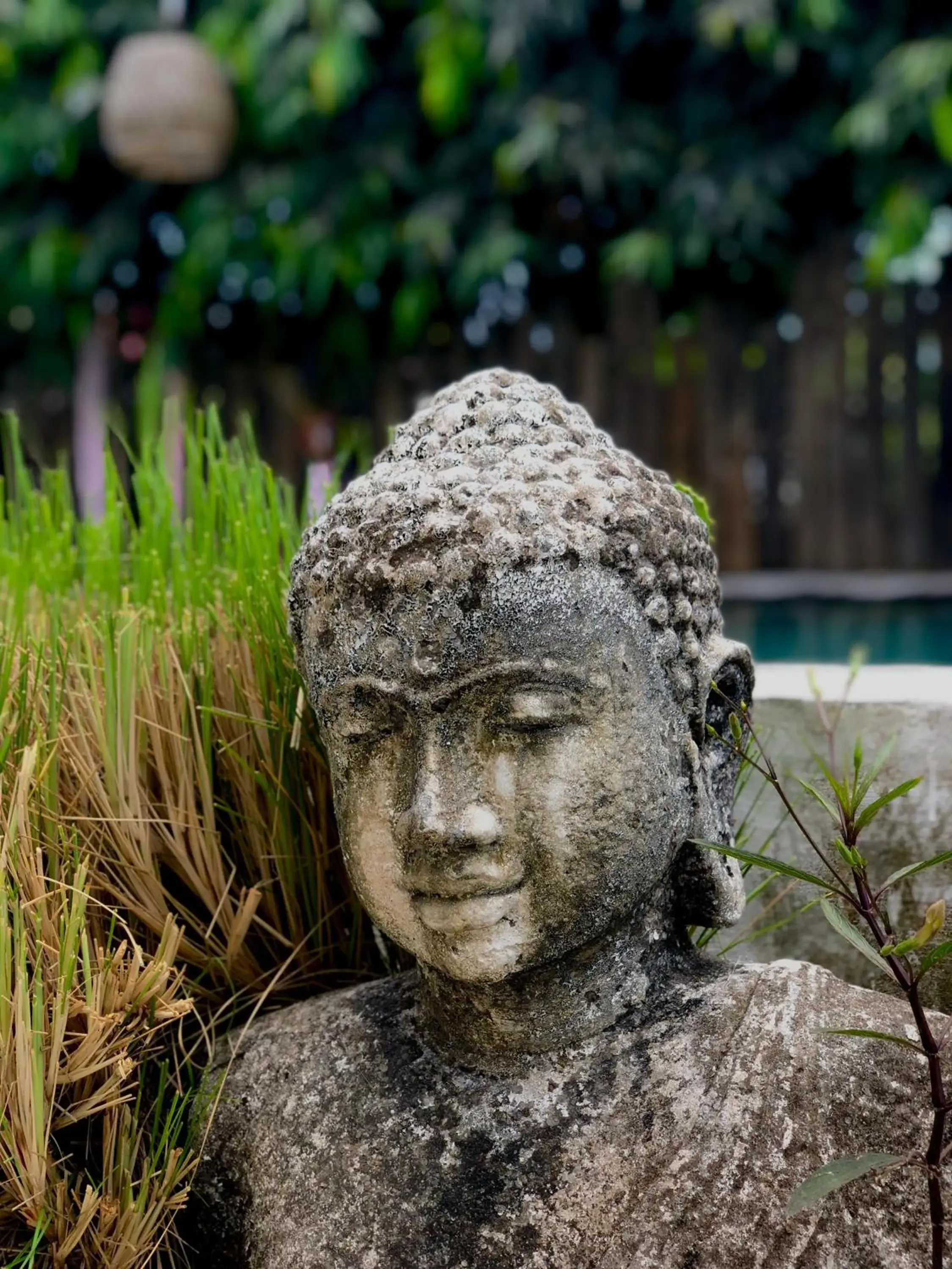 Twin Room in Bingin Inn Twin Room in Bingin Inn