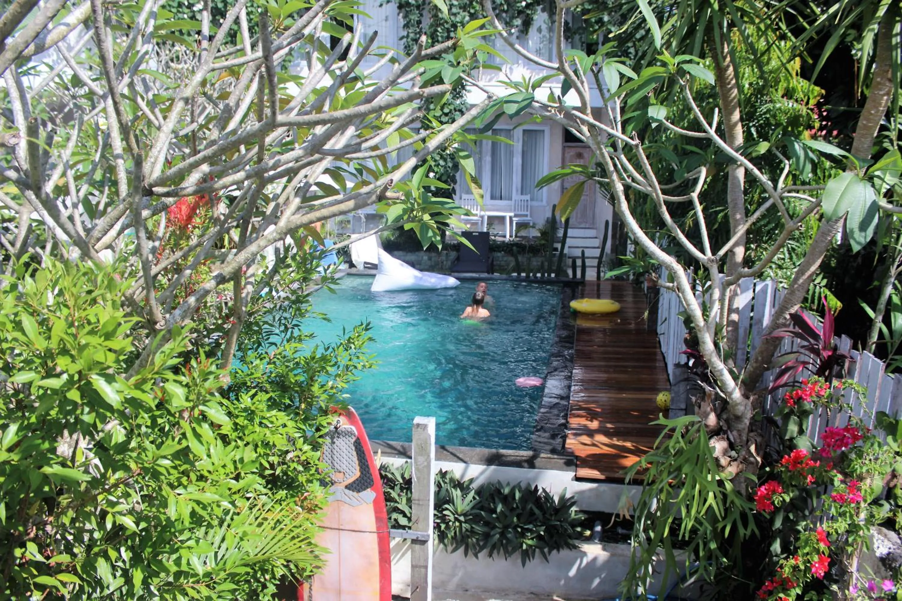 Swimming pool in Bingin Inn