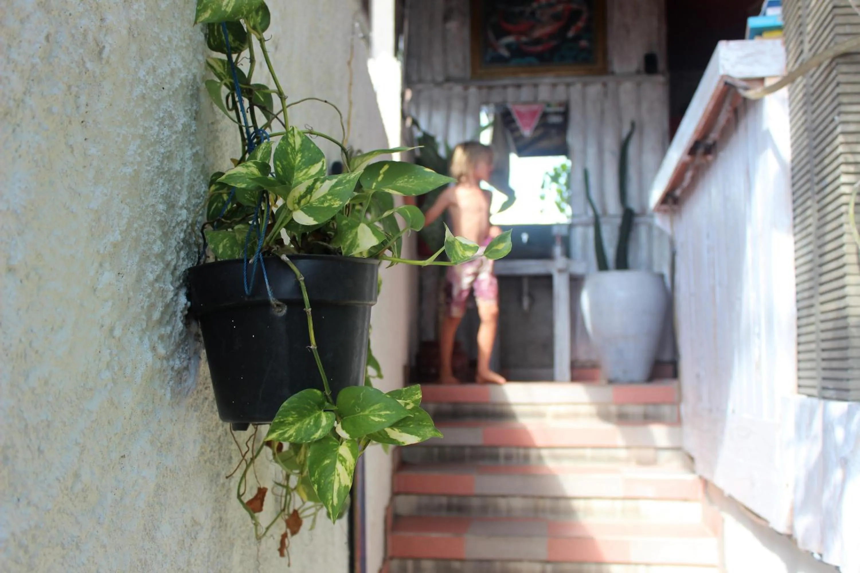 Restaurant/places to eat in Bingin Inn