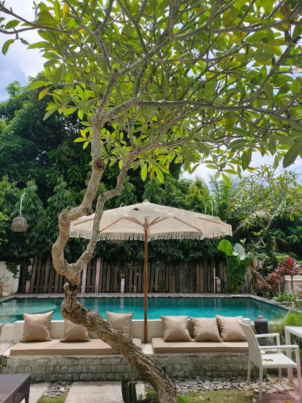 Swimming pool in Bingin Inn