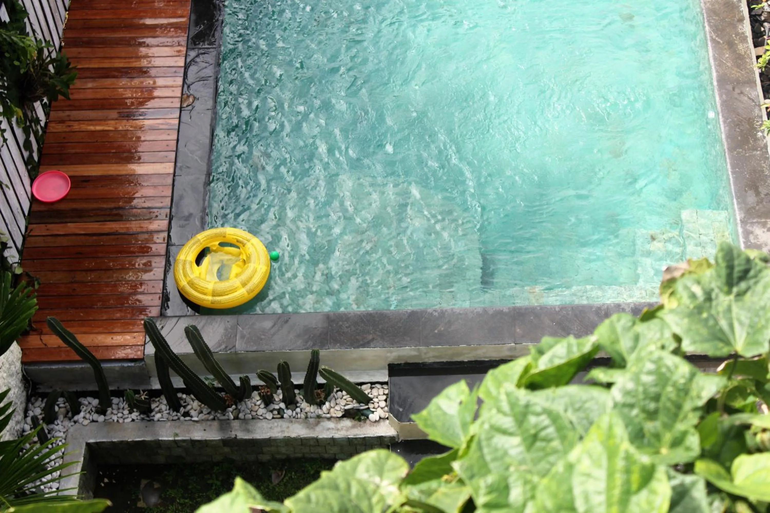 Pool view in Bingin Inn