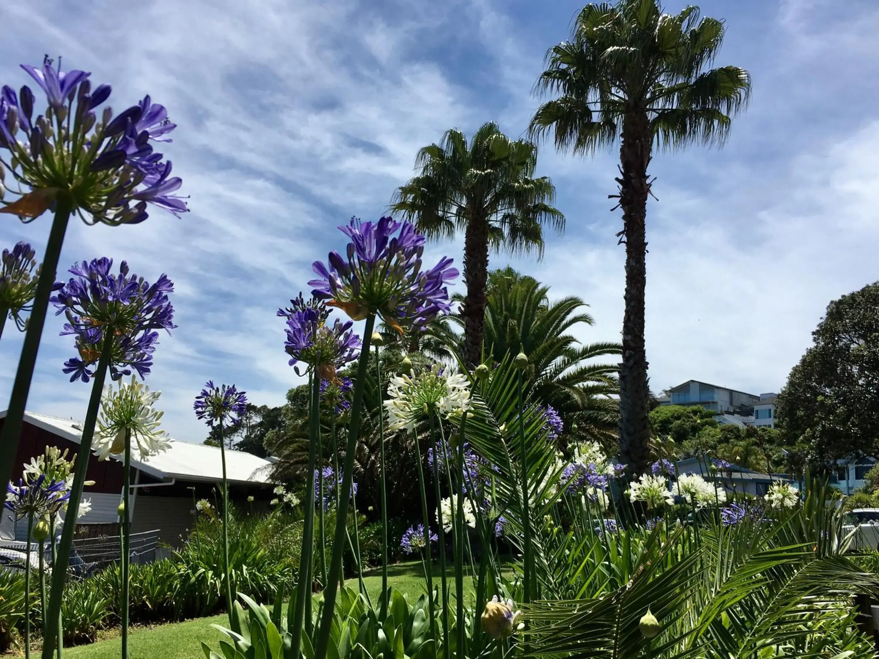 Half Moon Bay Motel