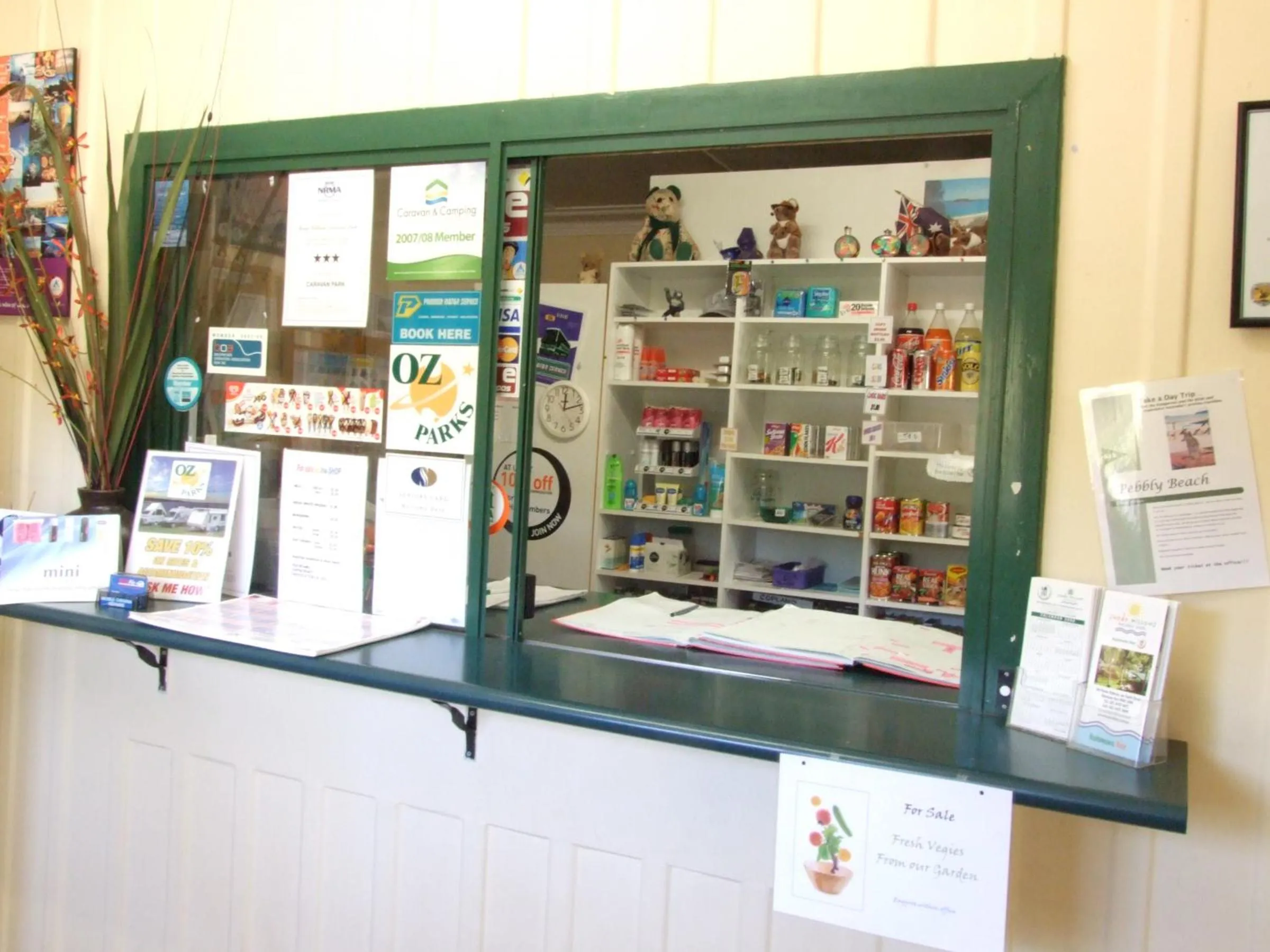 Lobby or reception in Batemans Bay Holiday Park & Hostel