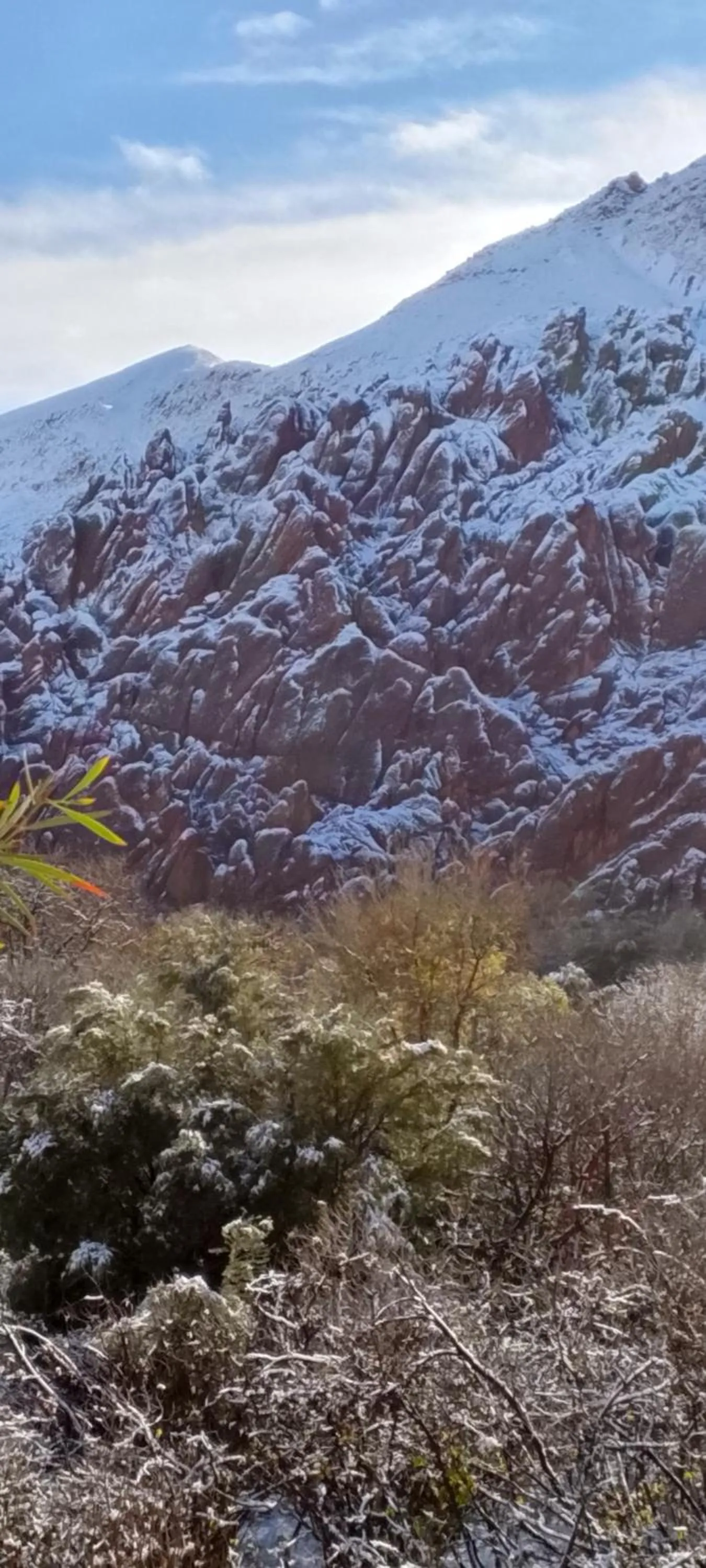 Auberge Restaurant Zahra