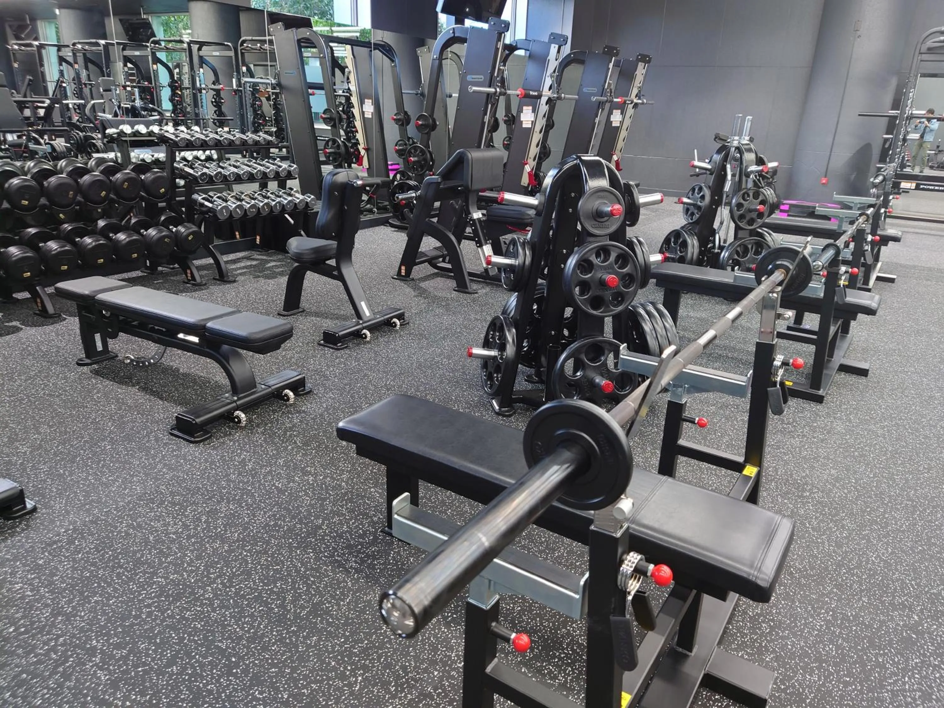 Fitness centre/facilities in Rembrandt Hotel Ebina