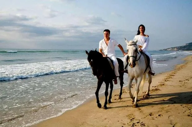 Horse-riding in Hotel Magnific