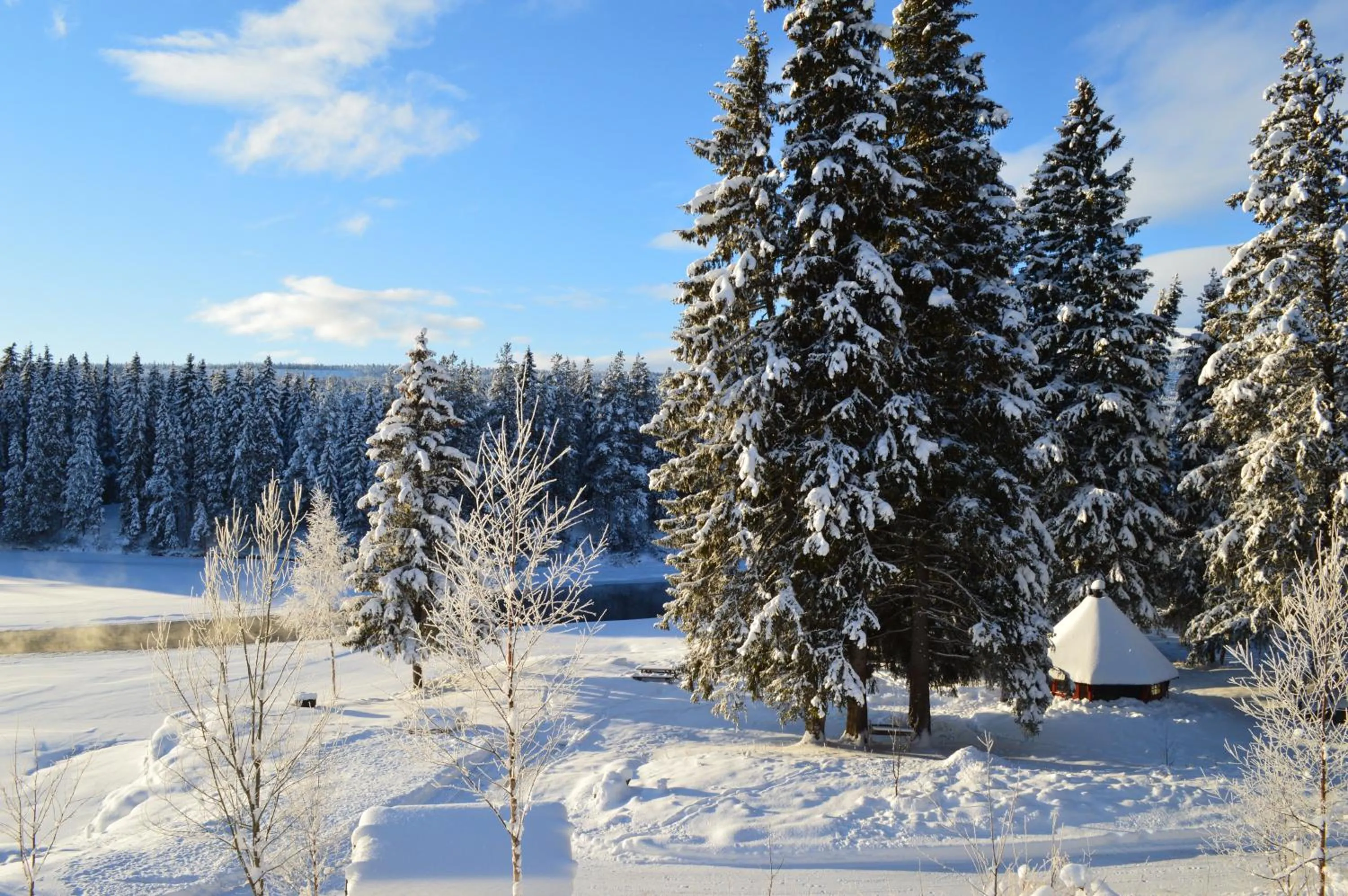 Winter in Trysil Hyttegrend