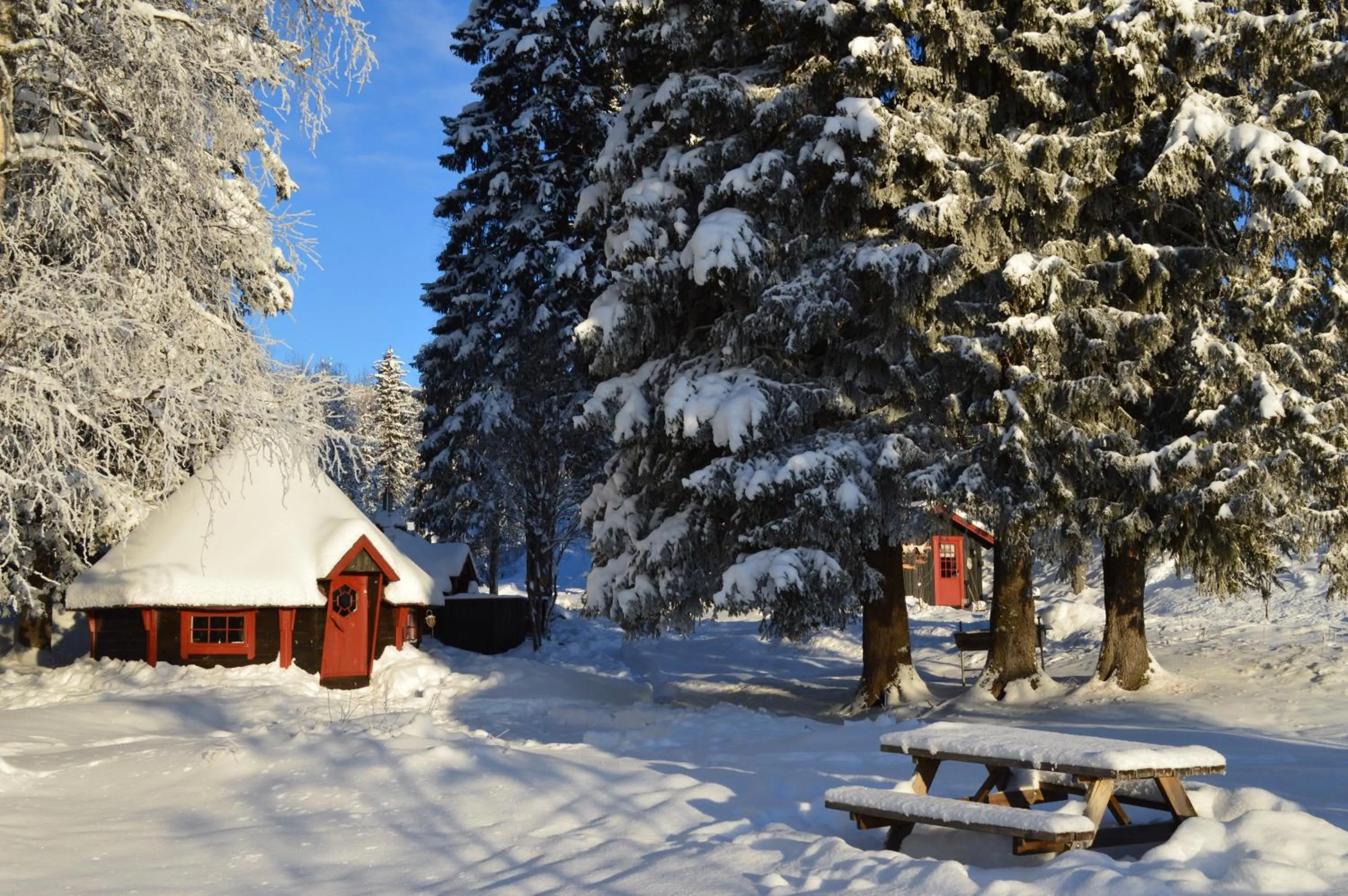 Winter in Trysil Hyttegrend