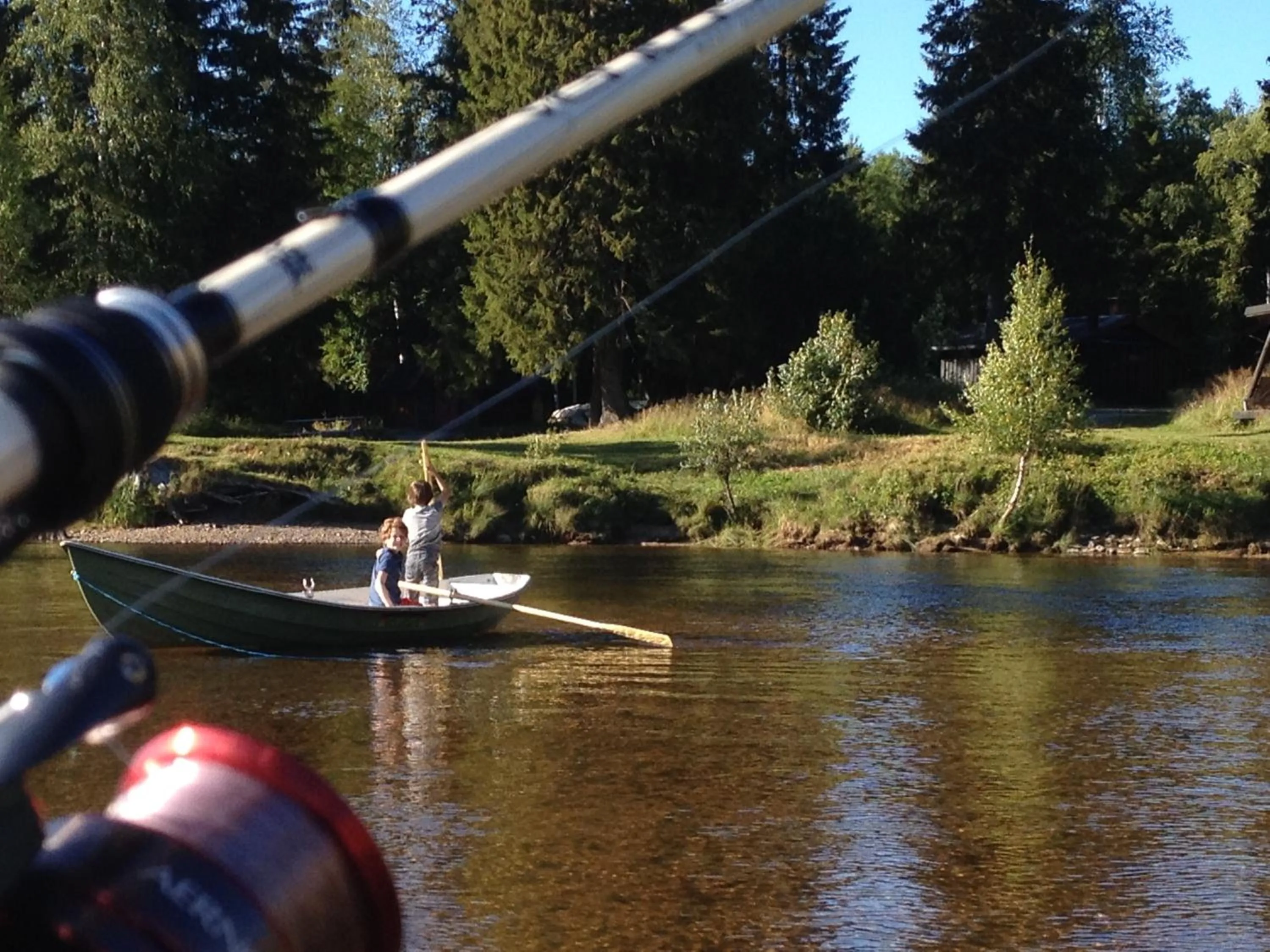 Summer in Trysil Hyttegrend