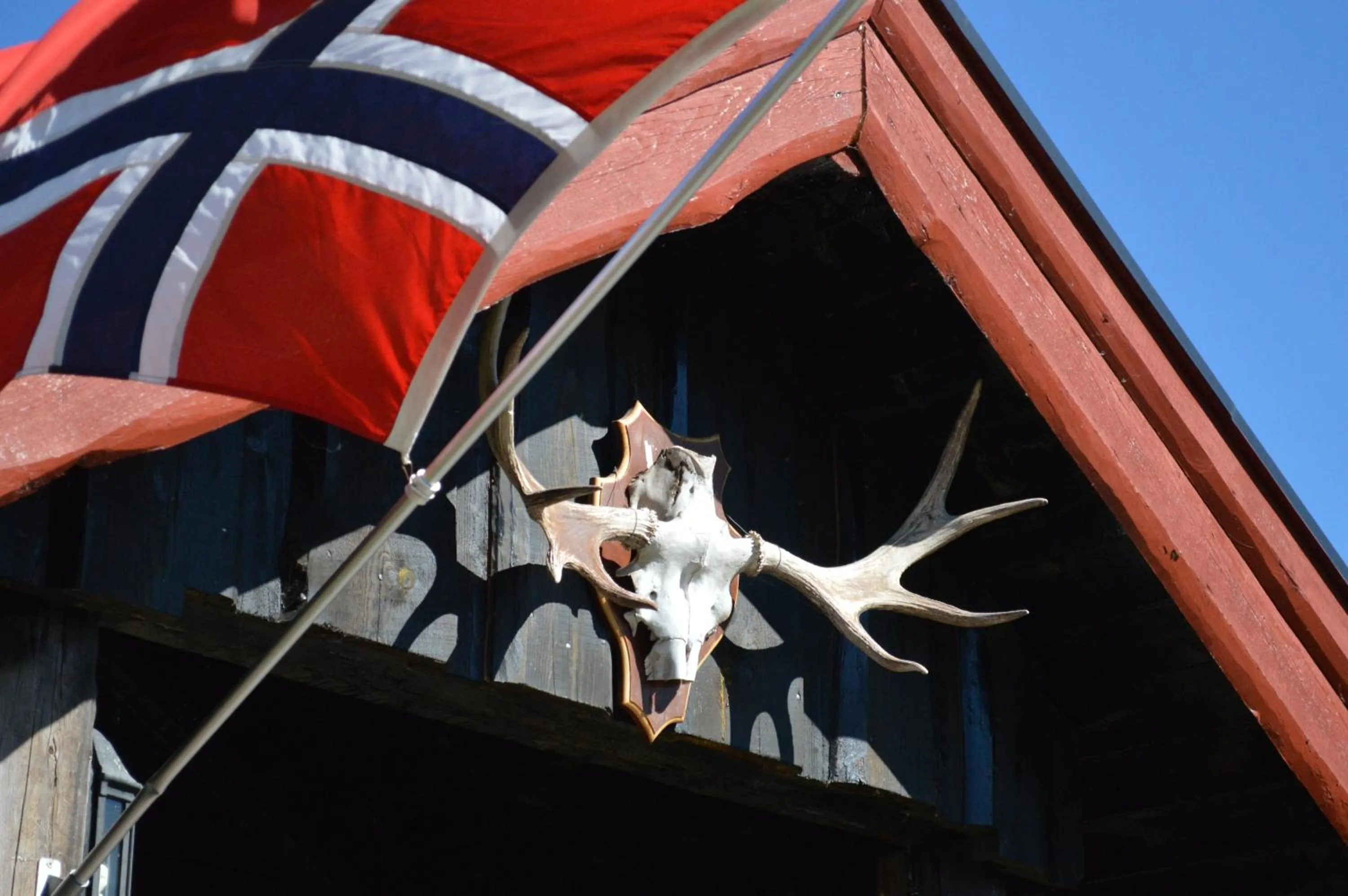 Location in Trysil Hyttegrend