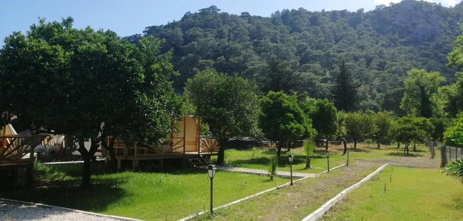Garden in Kara Kedi Beach Bungalow