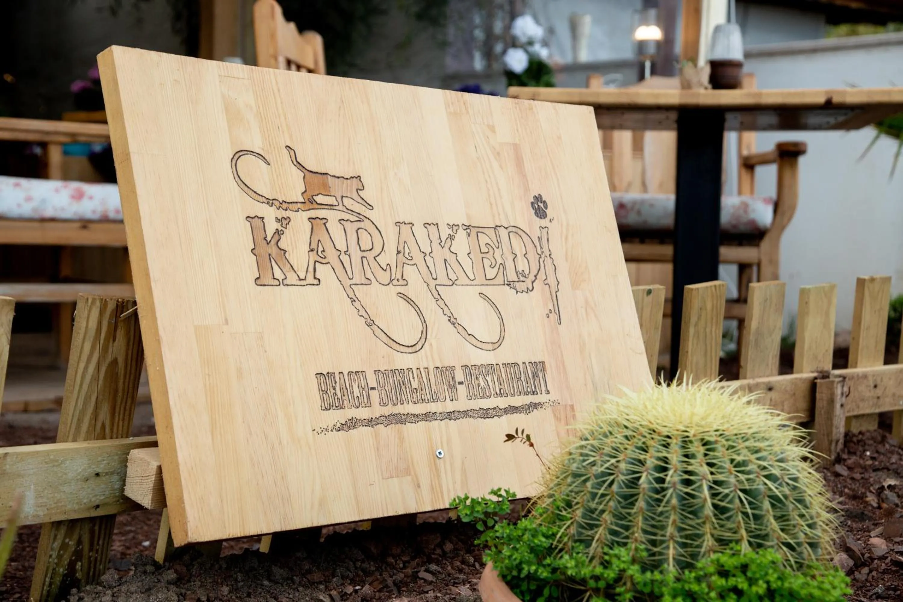 Logo/Certificate/Sign in Kara Kedi Beach Bungalow