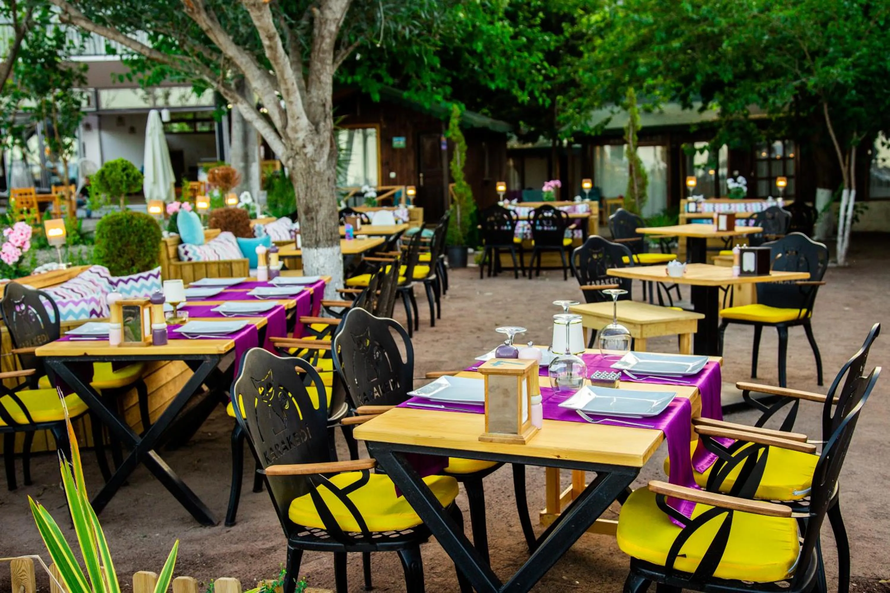 Restaurant/places to eat in Kara Kedi Beach Bungalow