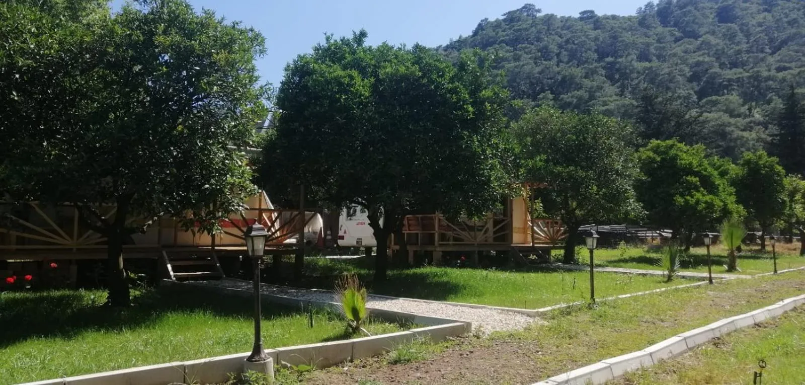 Garden view in Kara Kedi Beach Bungalow