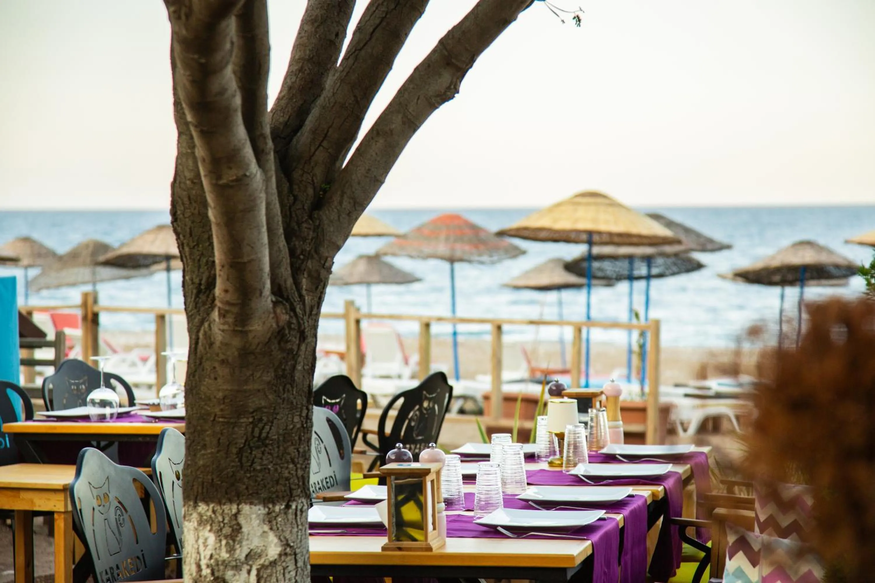 Restaurant/places to eat in Kara Kedi Beach Bungalow