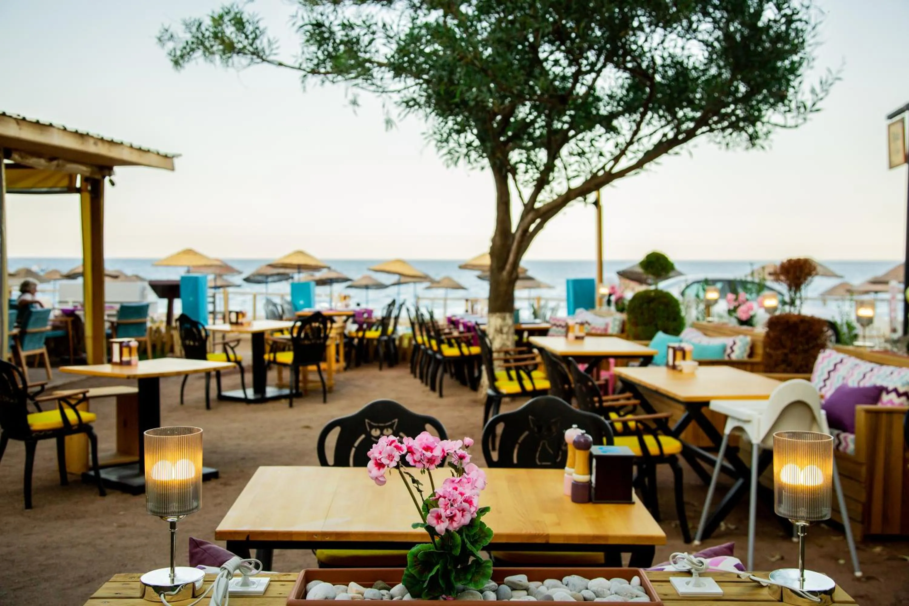 Restaurant/places to eat in Kara Kedi Beach Bungalow