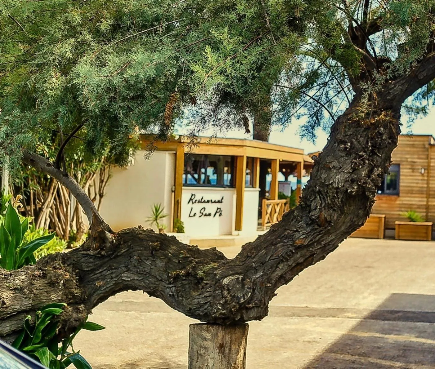 Restaurant/places to eat in Hotel & Restaurant San Pellegrino